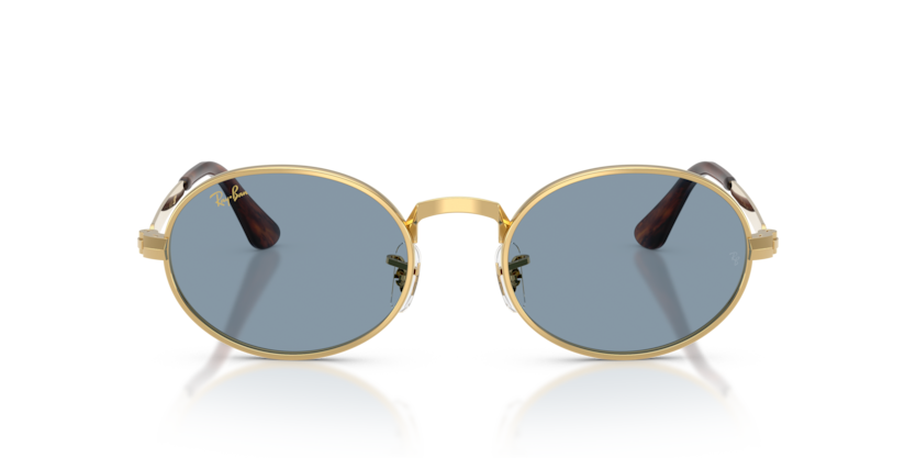 Gafas de Sol Ray-Ban RB3931 001/56 54 21