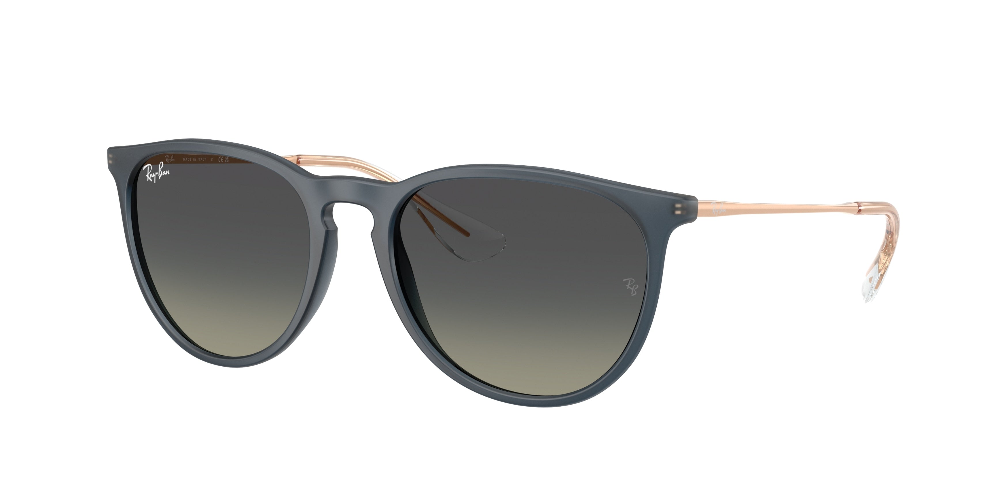 Gafas de Sol Ray-Ban ERIKA RB4171 681311 54 18