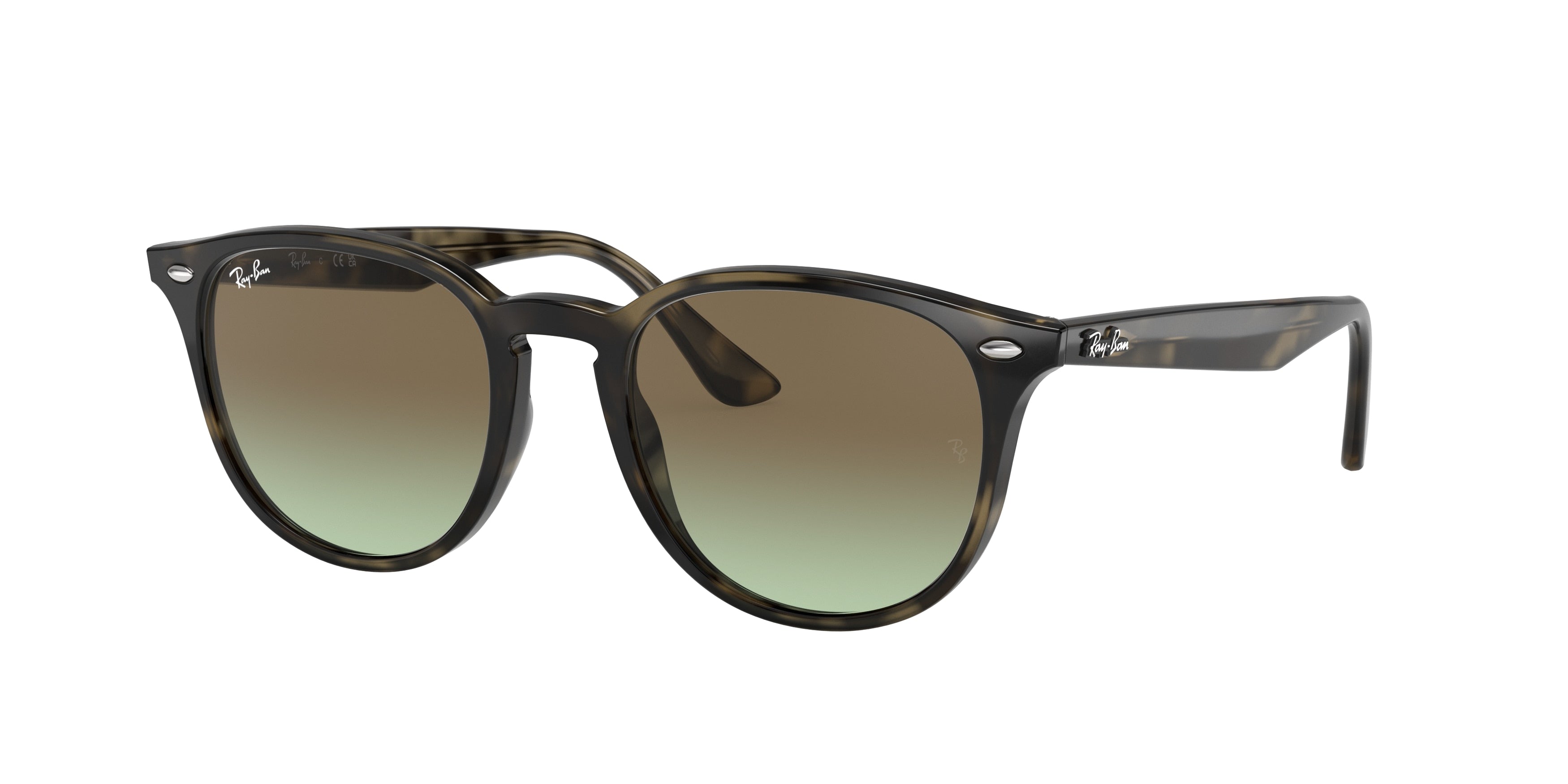 Gafas de Sol Ray-Ban RB4259 731/E8 51 20