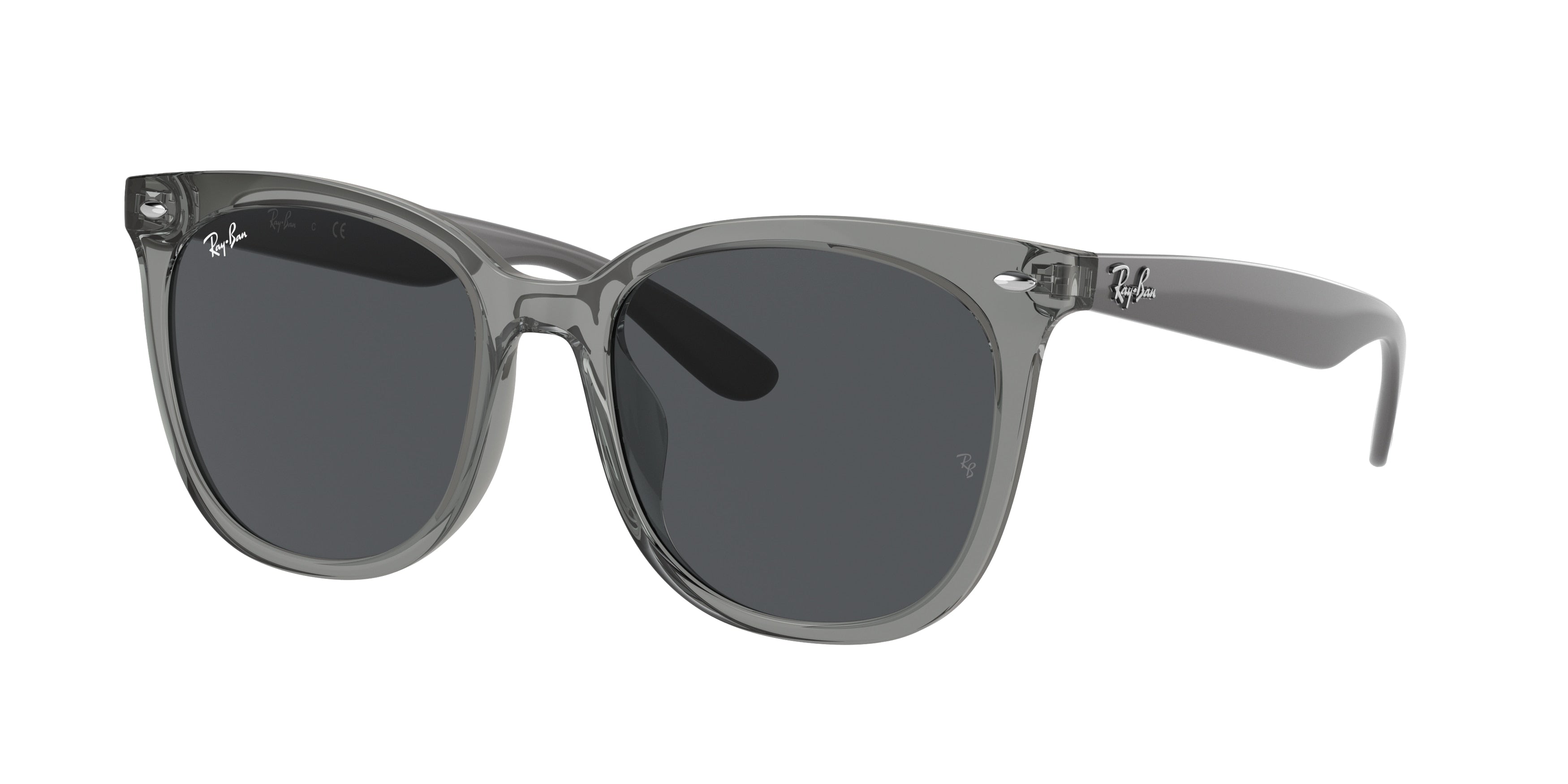 Gafas de Sol Ray-Ban RB4379D 659987 55 19