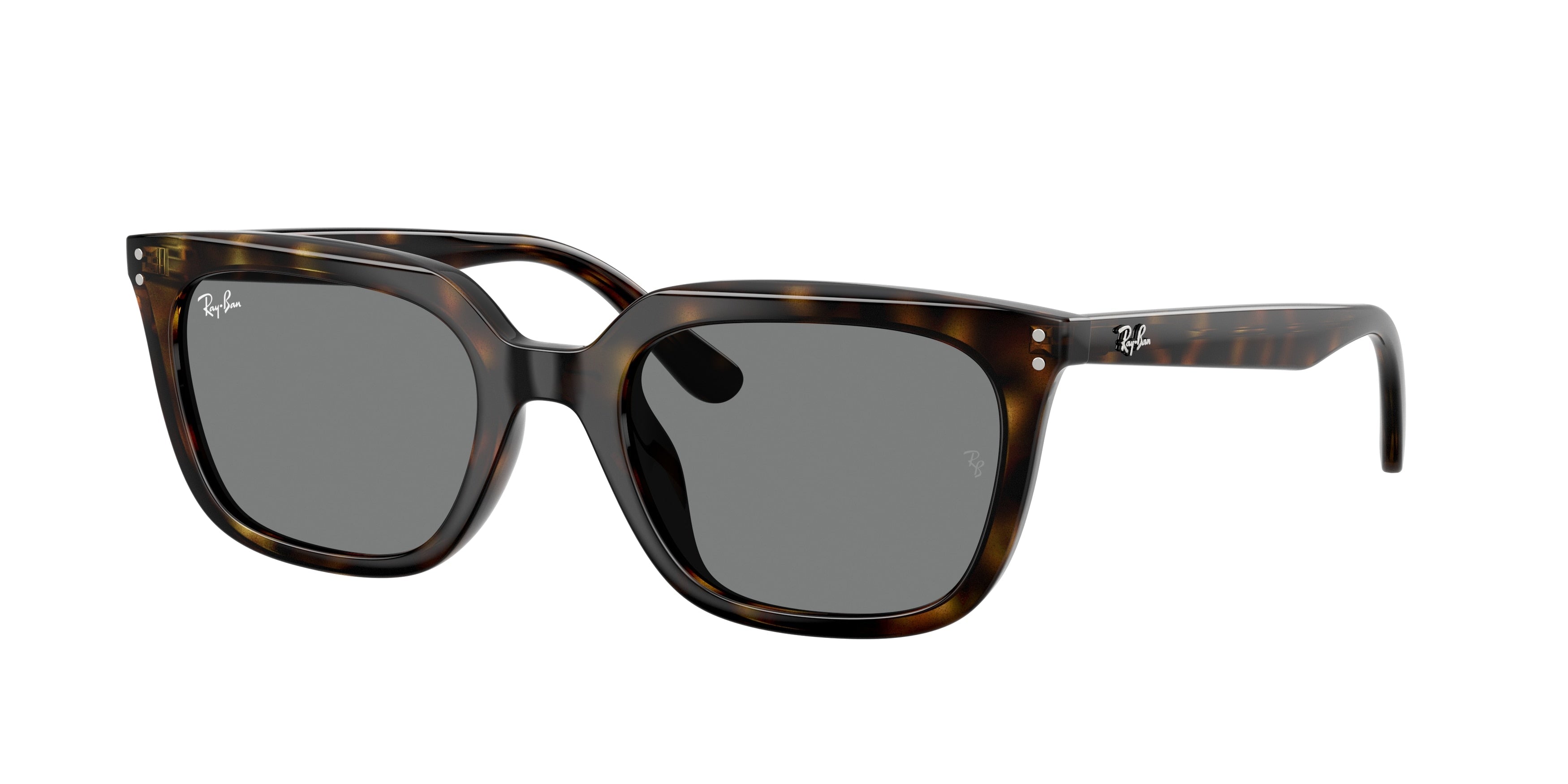 Gafas de Sol Ray-Ban RB4439D 710/87 54 21