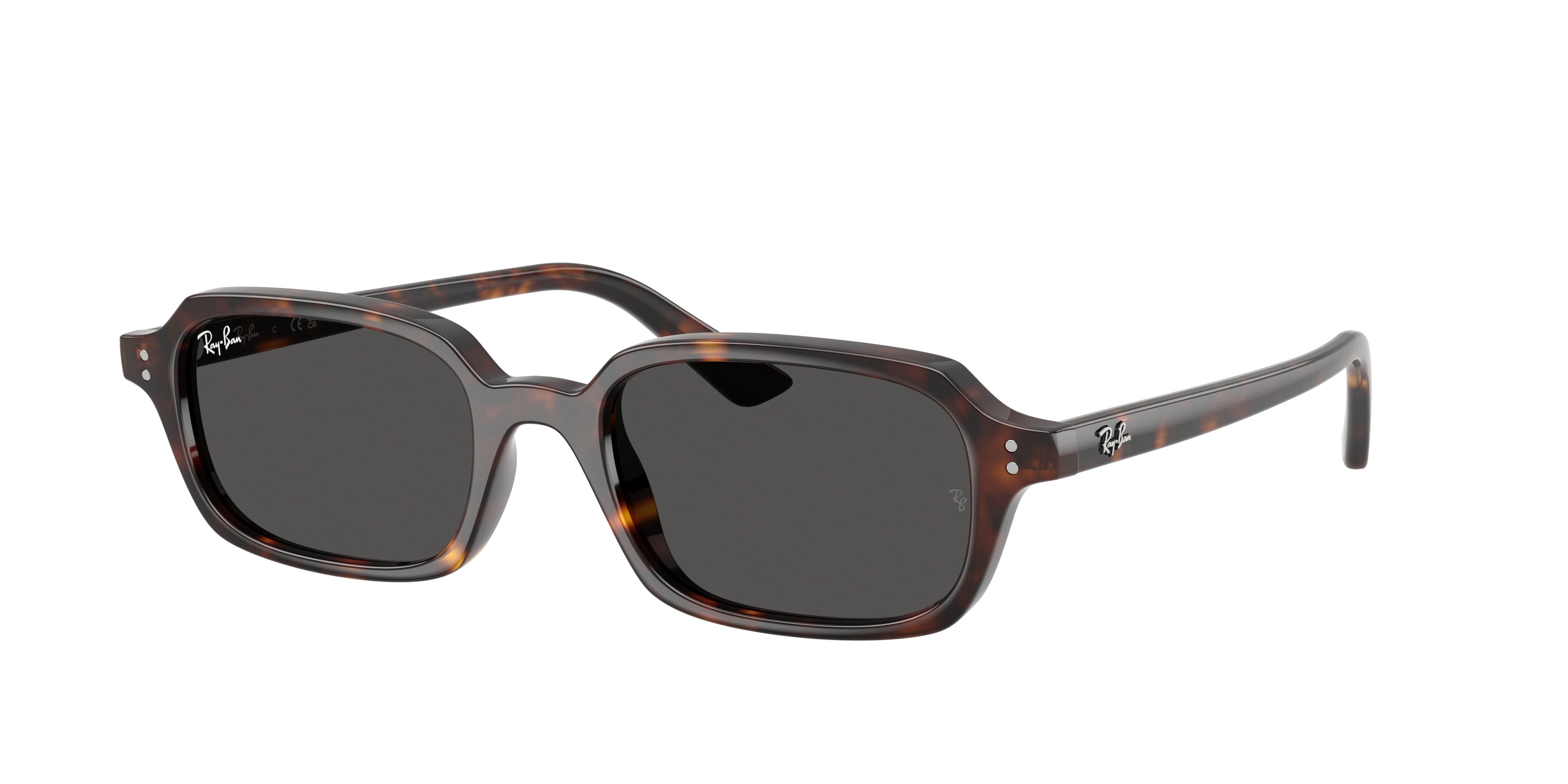 Gafas de Sol Ray-Ban ZURI RB4455 135987 49 19