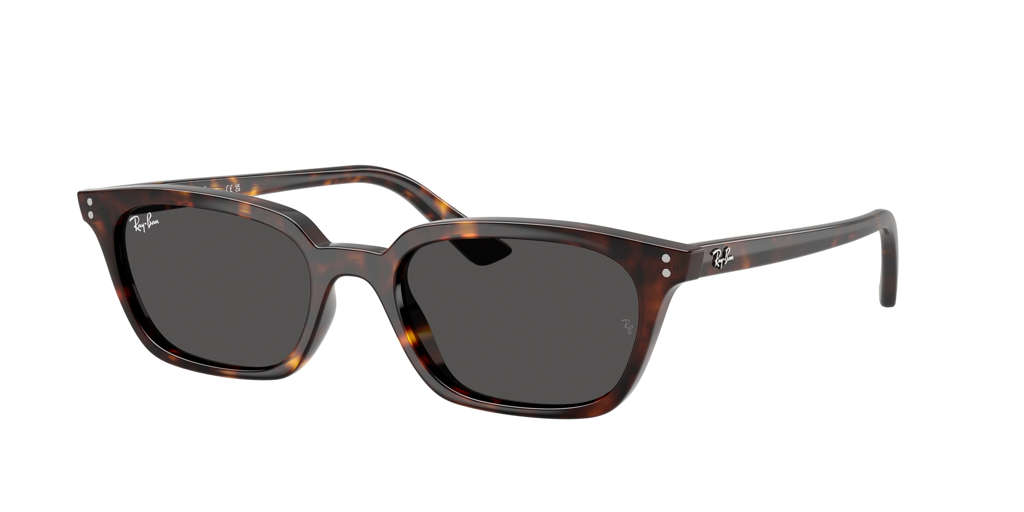 Gafas de Sol Ray-Ban ZAYA RB4456 135987 50 19