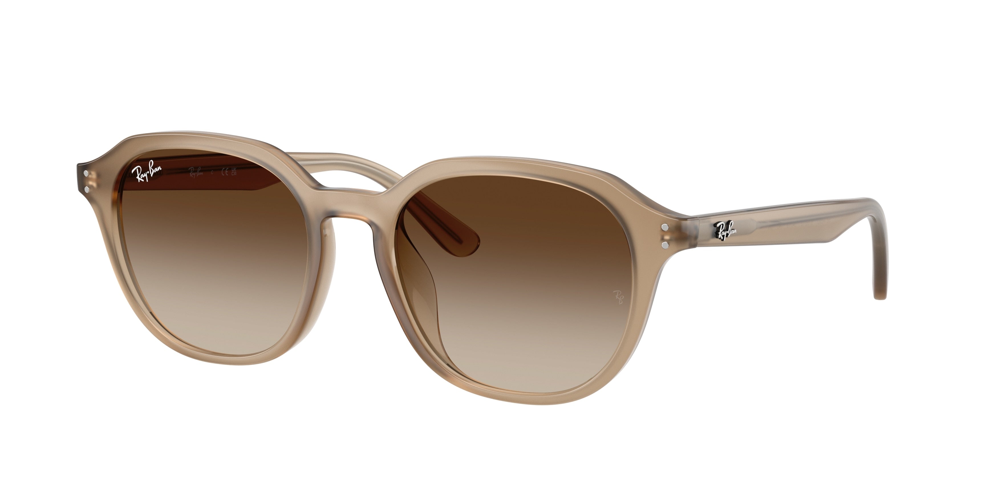 Gafas de Sol Ray-Ban RB4459D 616613 54 19