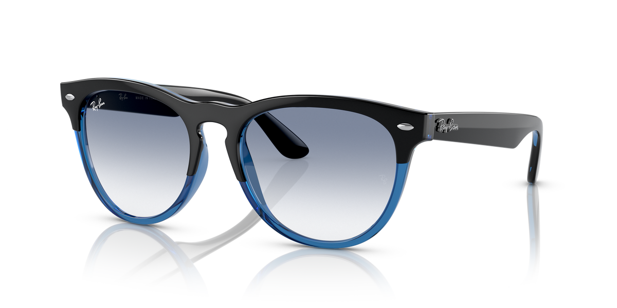 Sunglasses Ray-Ban Iris RB4471 663219 54 18