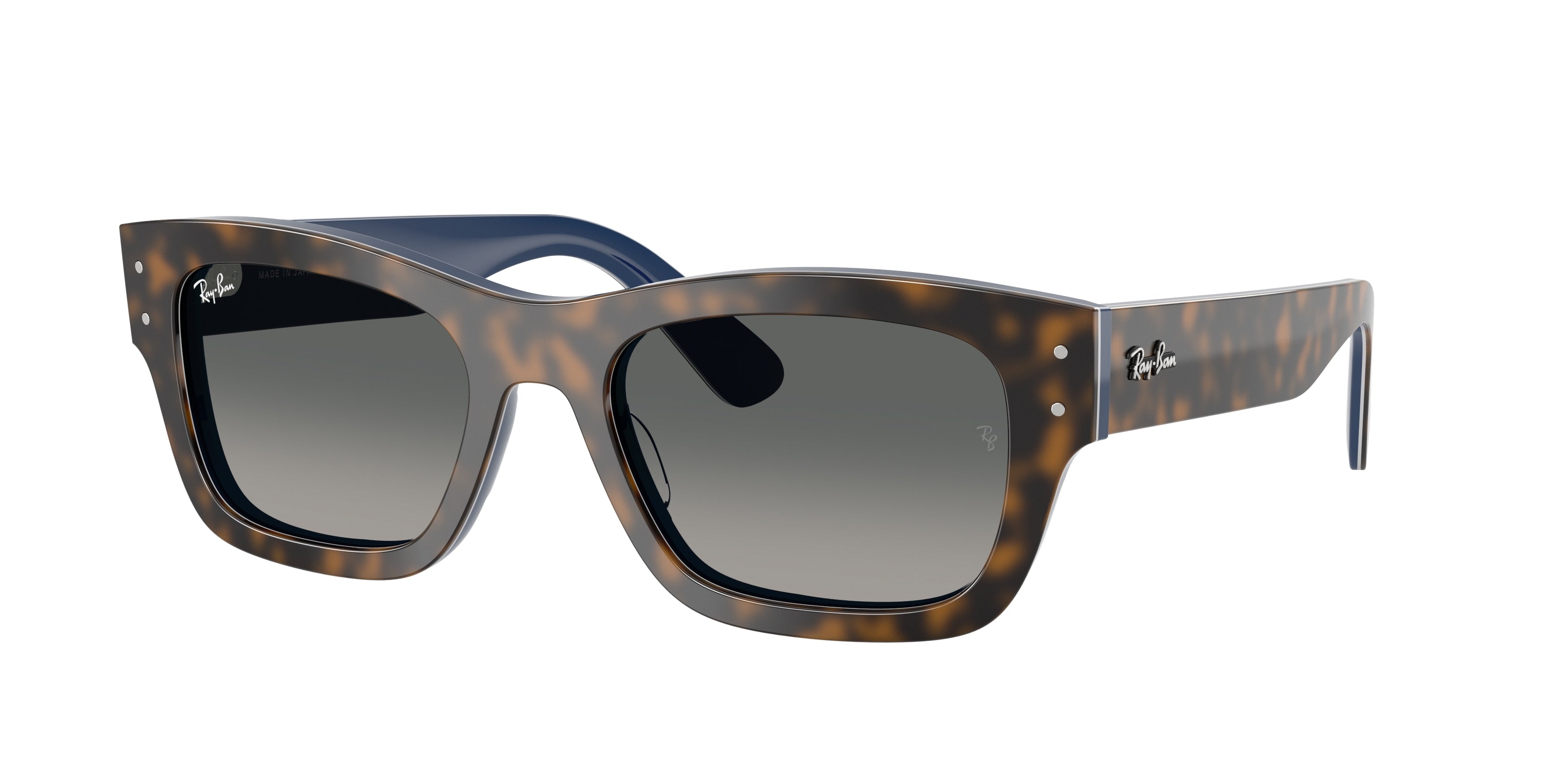 Gafas de sol Ray-Ban JOSEPH RB7683S 140171 55 20