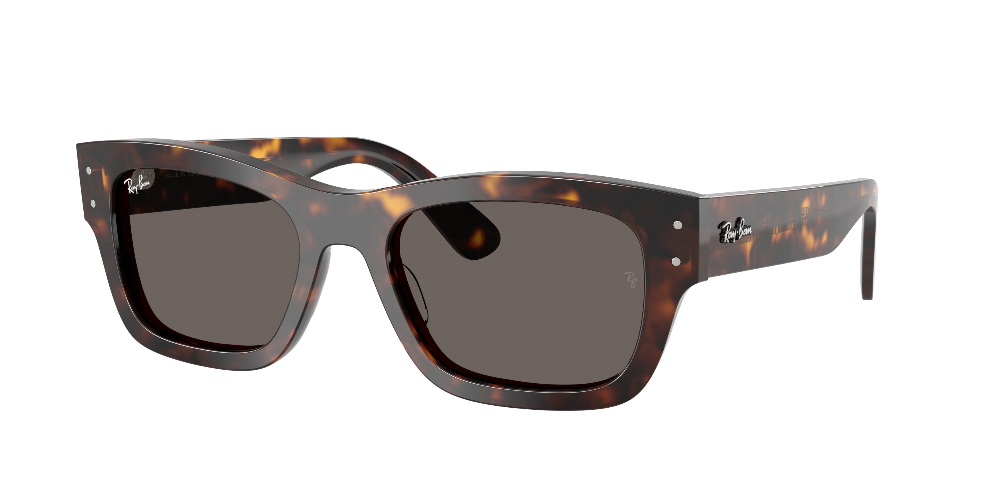 Gafas de sol Ray-Ban JOSEPH RB7683S 902/B1 55 20