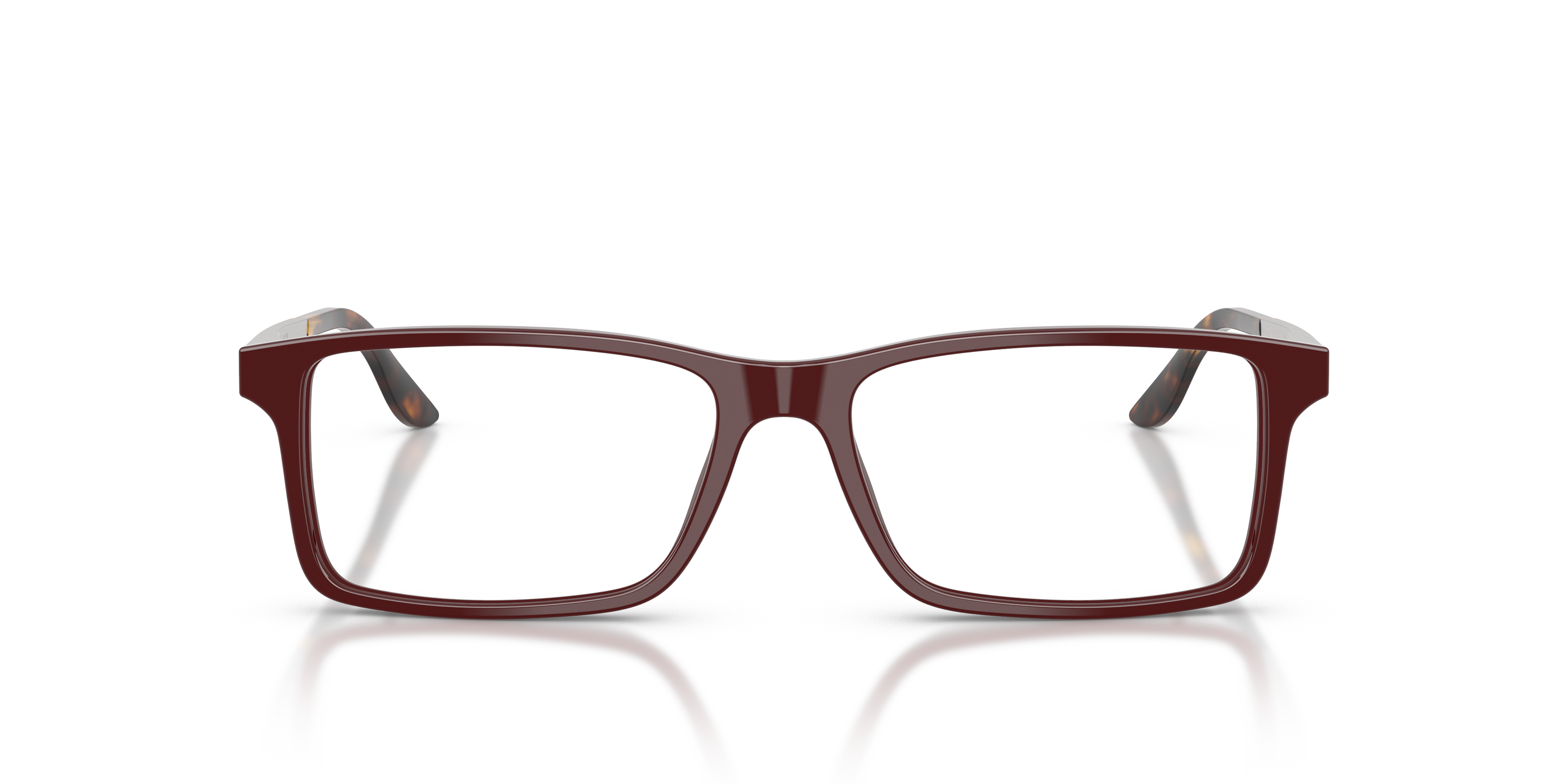 Gafas de Sol Ralph Lauren RL6128 6311 53 16