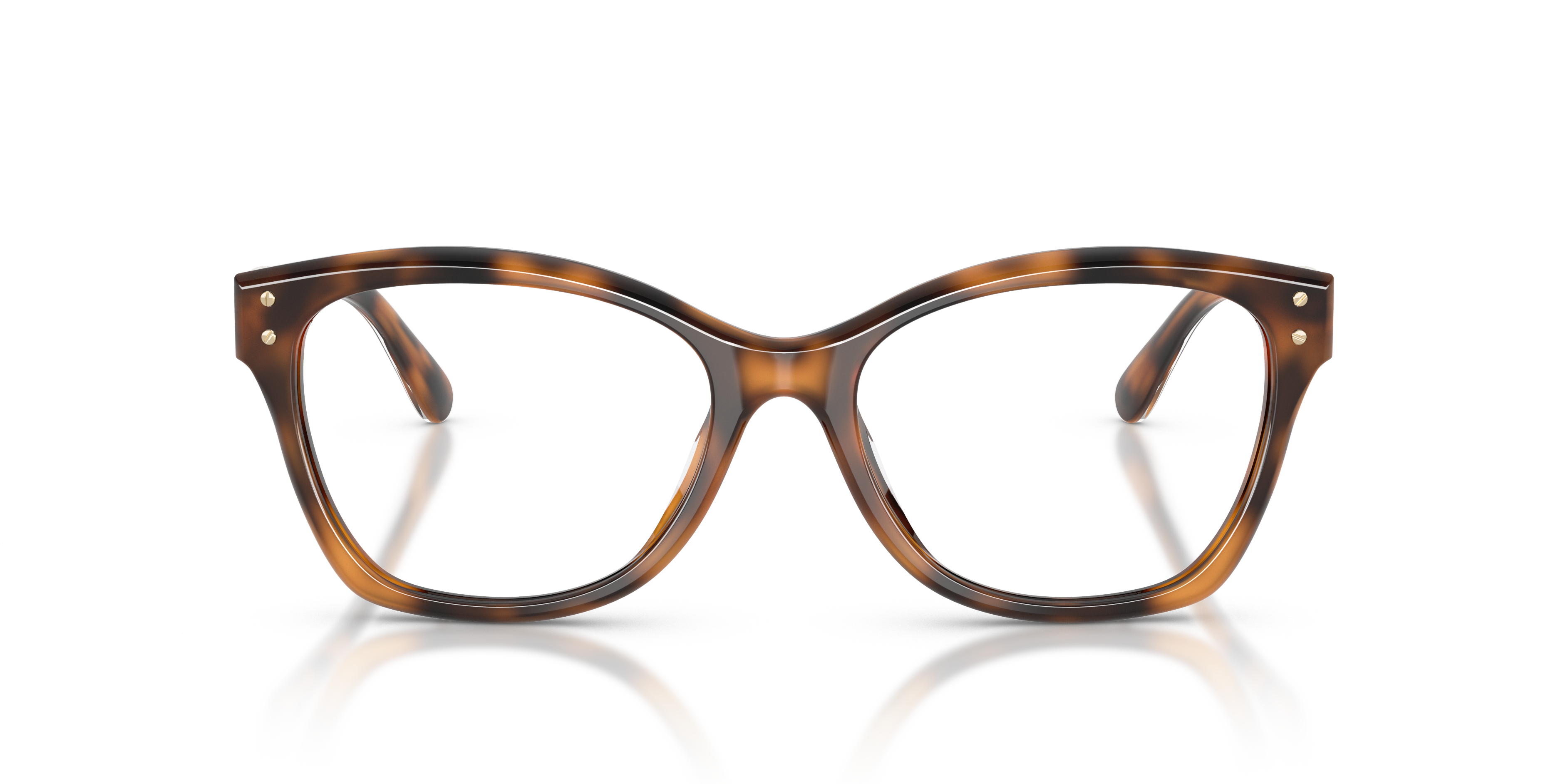 Gafas de Sol Ralph Lauren RL6259U 6089 53 17