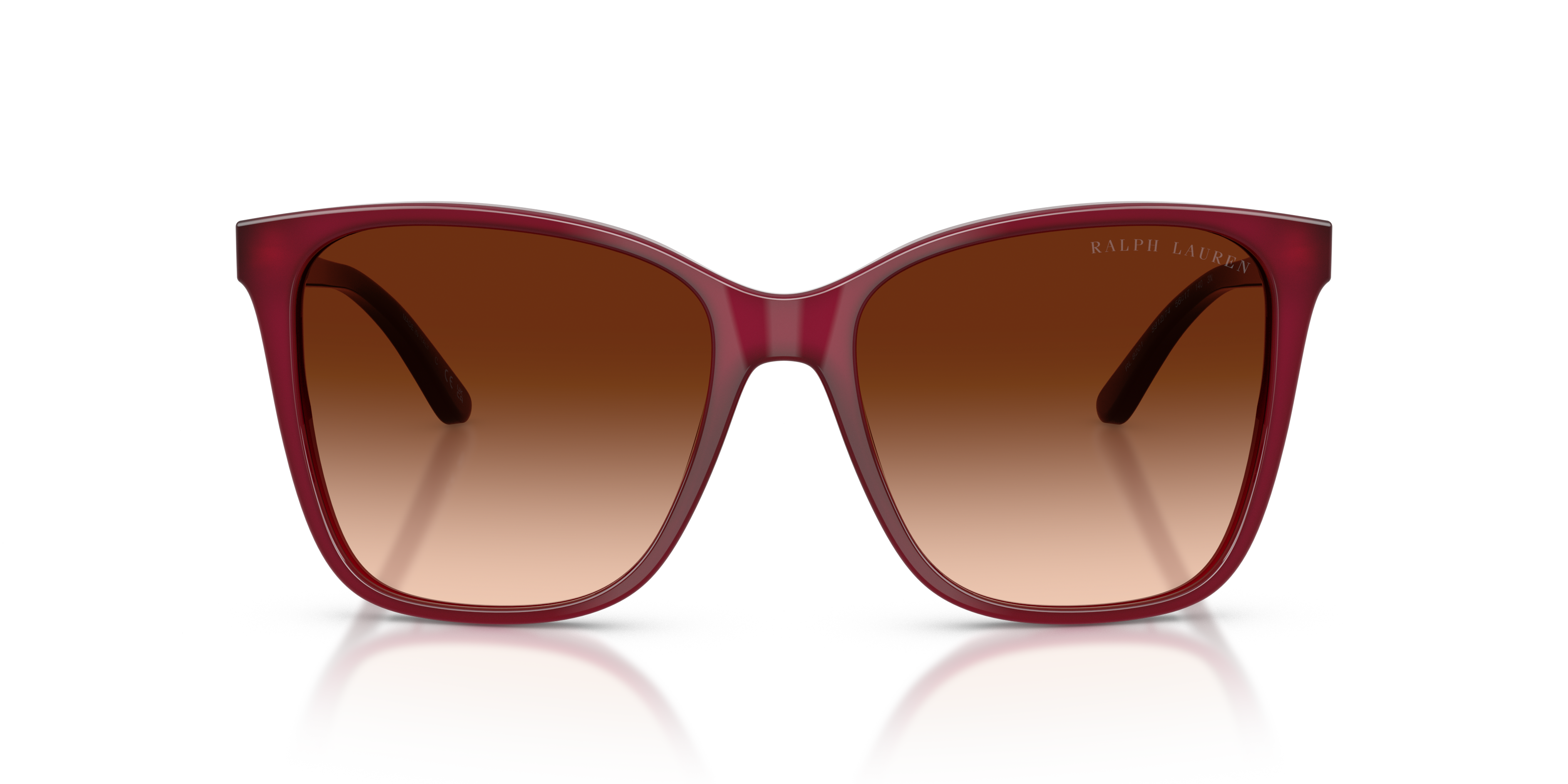 Gafas de Sol Ralph Lauren RL8201 591274 56 17
