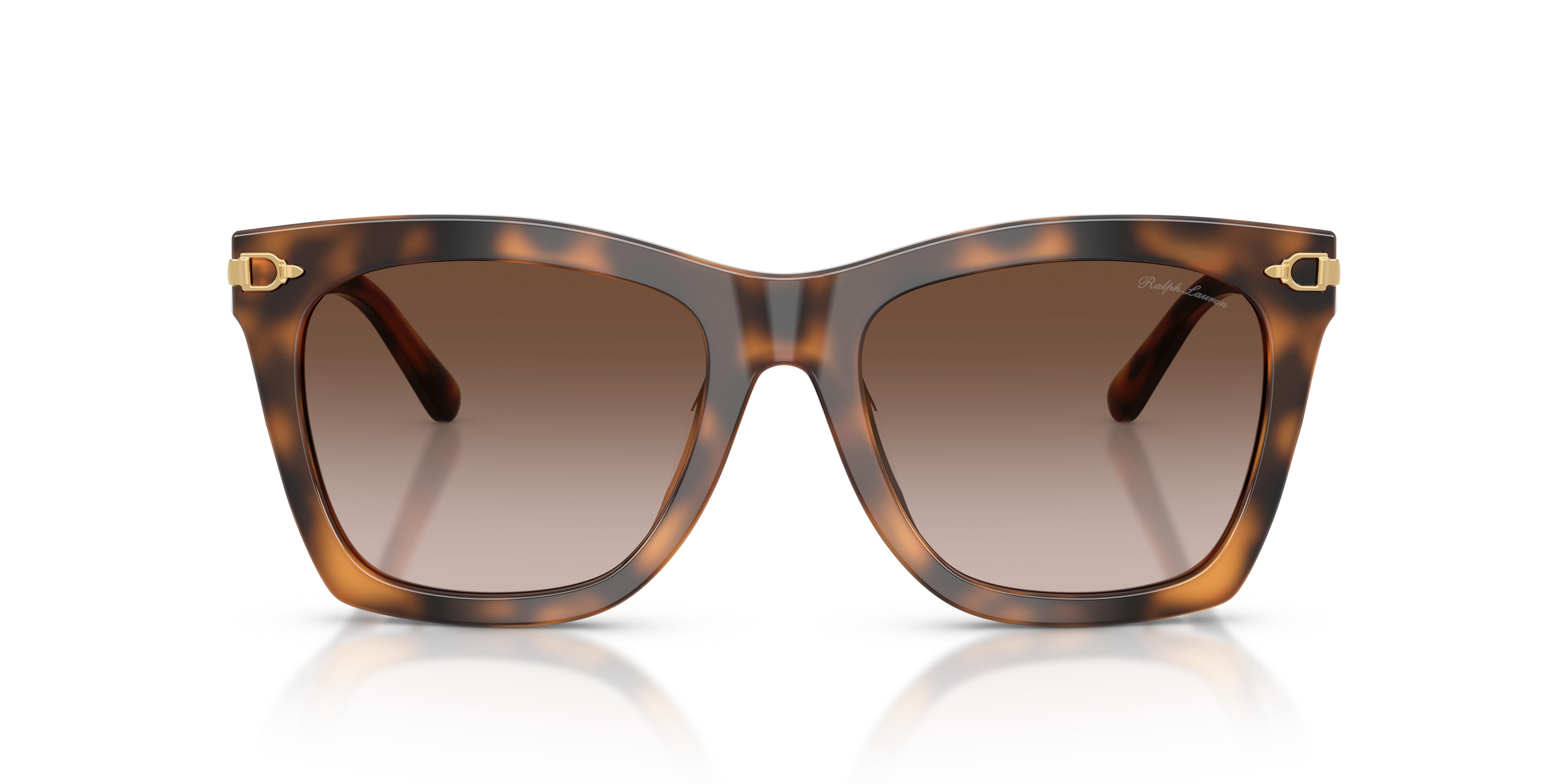 Gafas de Sol Ralph Lauren RL8235U 608913 54 18