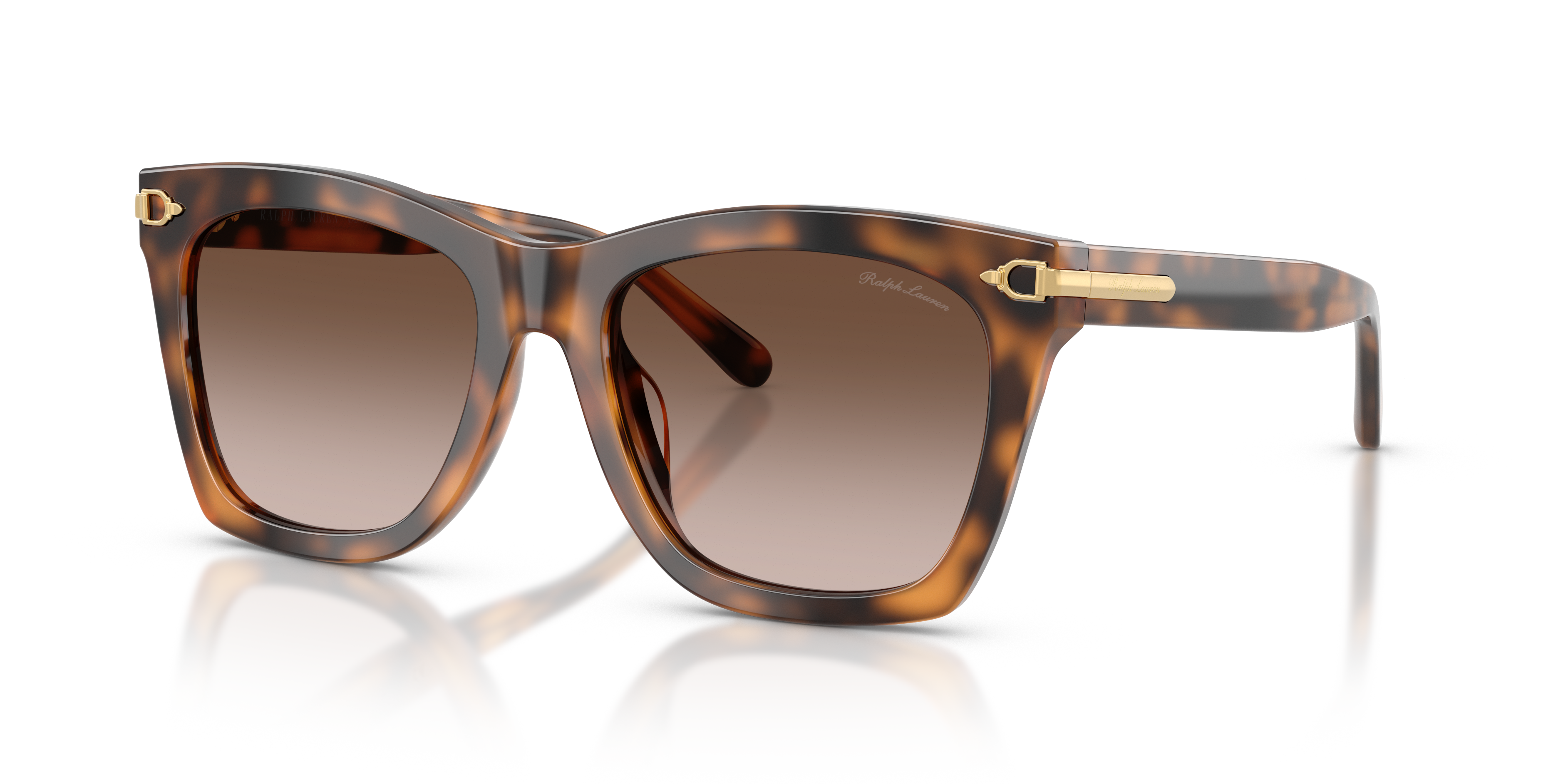 Gafas de Sol Ralph Lauren RL8235U 608913 54 18