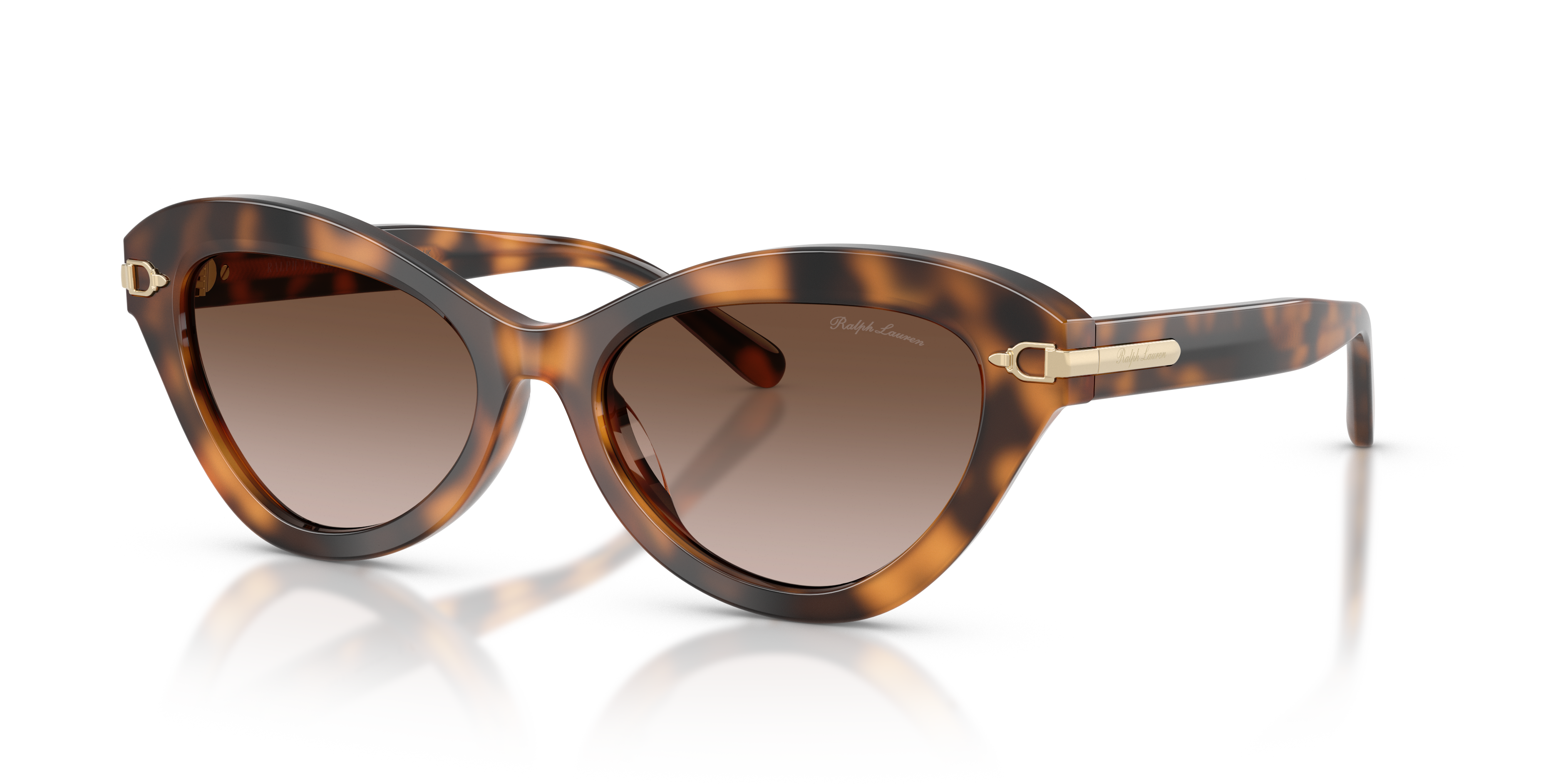 Gafas de Sol Ralph Lauren RL8236U 608913 54 17