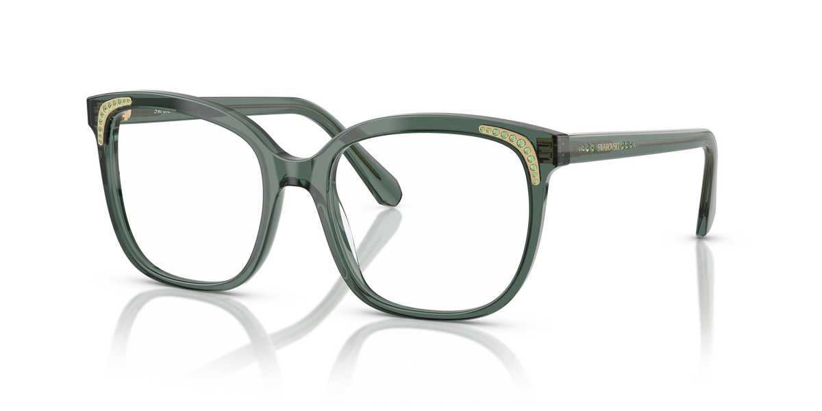 Gafas de Sol Swarovski SK2033 1043 54 18
