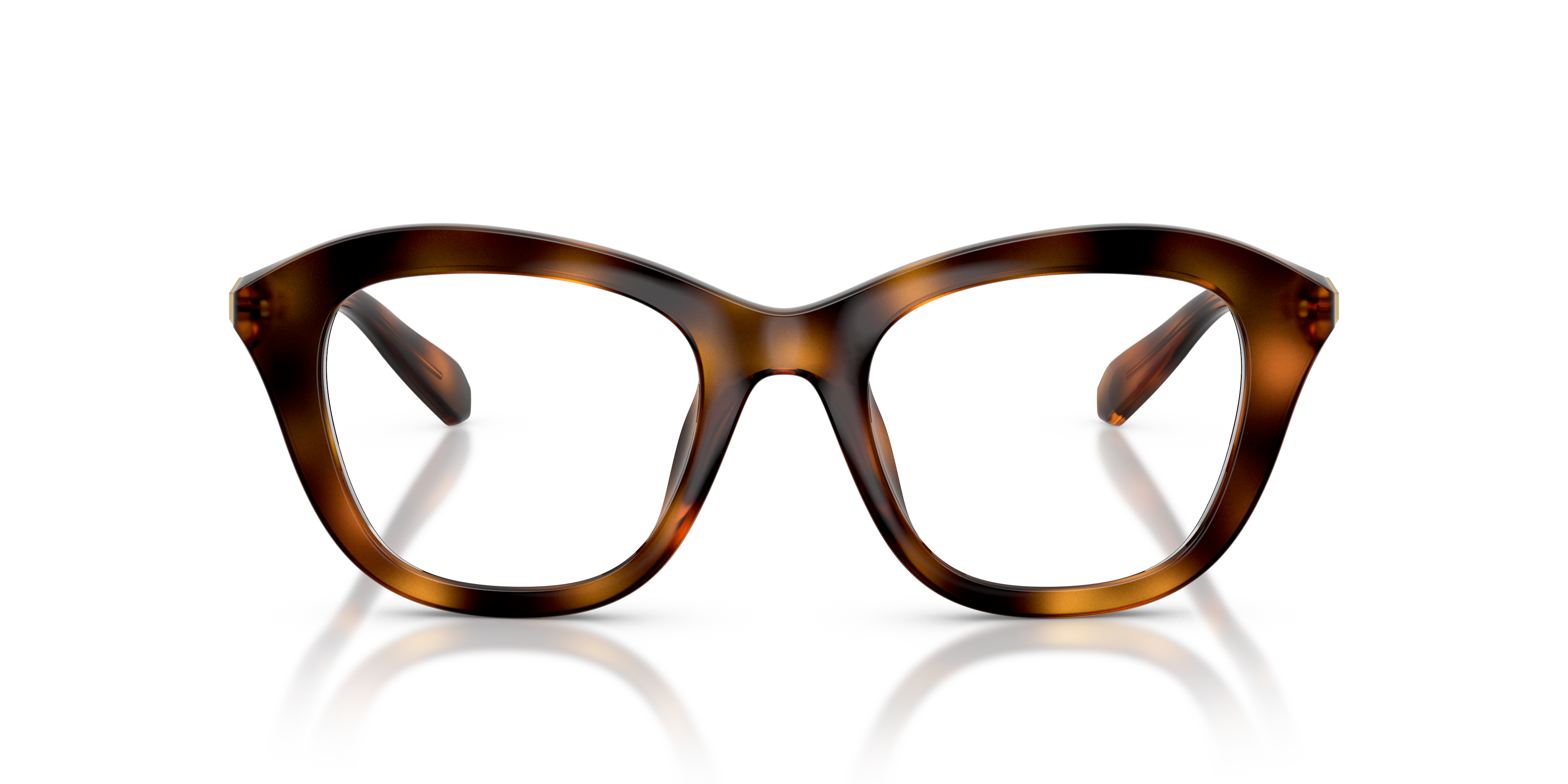 Gafas de Sol Swarovski SK2042U 1002 50 20