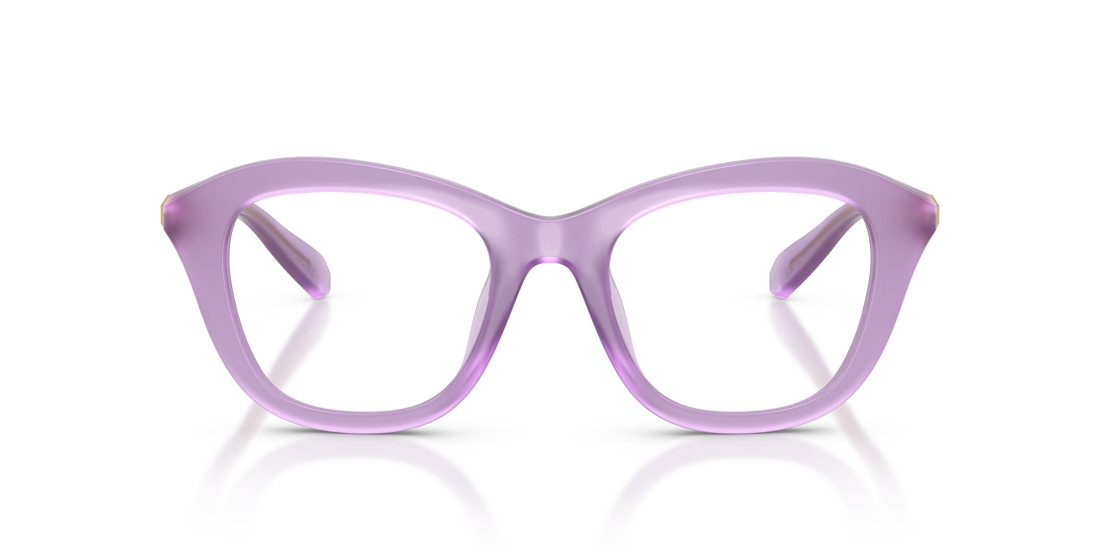 Gafas de Sol Swarovski SK2042U 1075 50 20