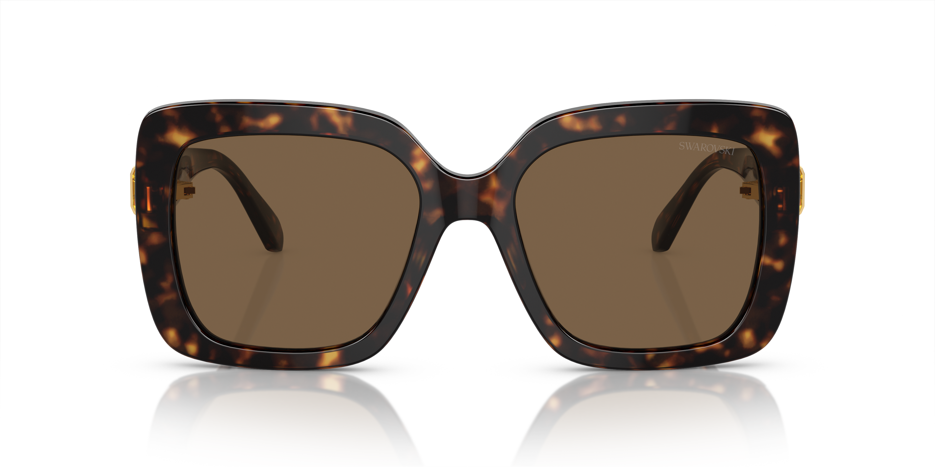 Gafas de Sol Swarovski SK6001 100273 55 19