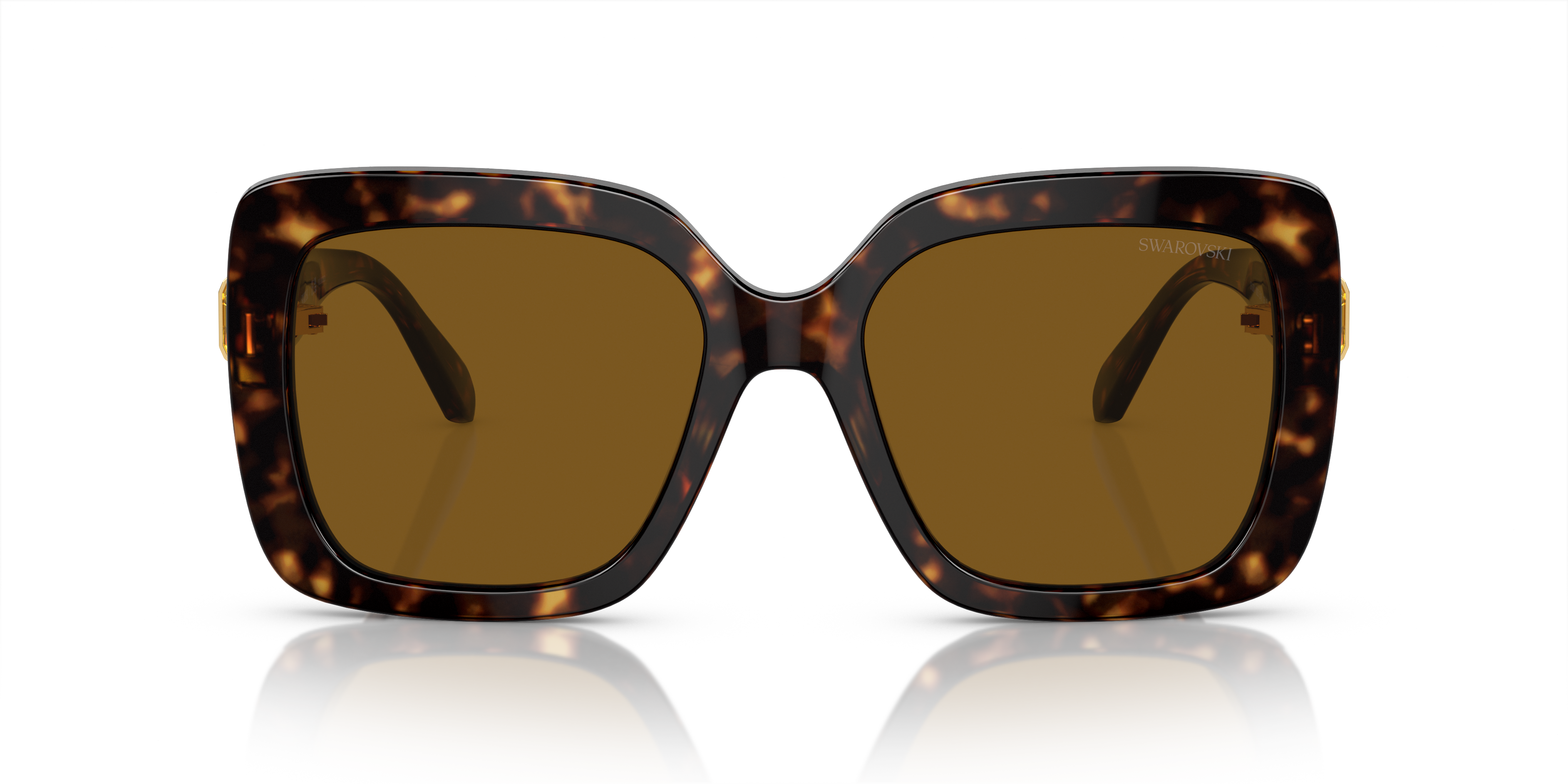 Gafas de Sol Swarovski SK6001 100283 55 19