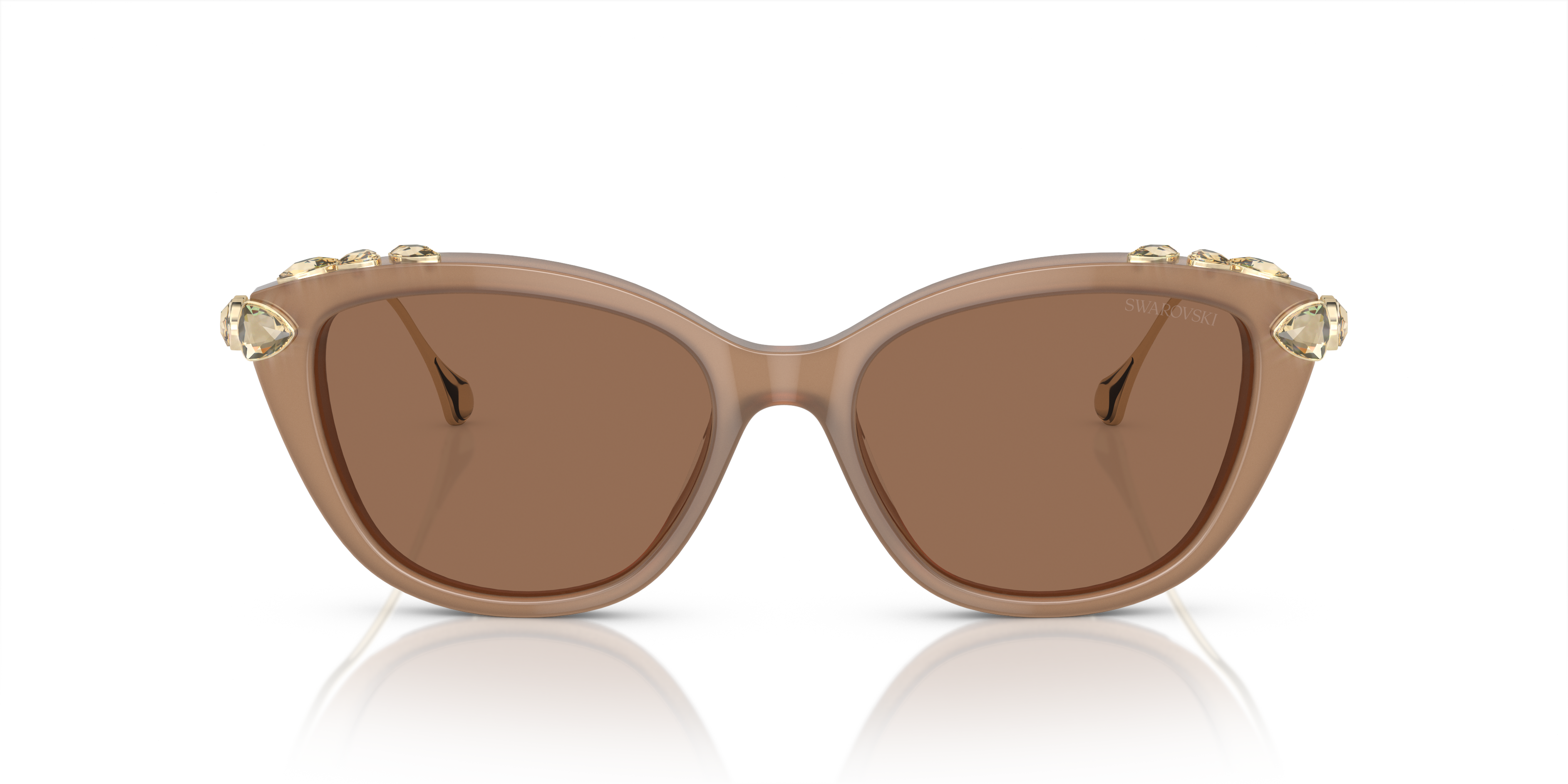 Gafas de Sol Swarovski SK6010 2002OK 53 17