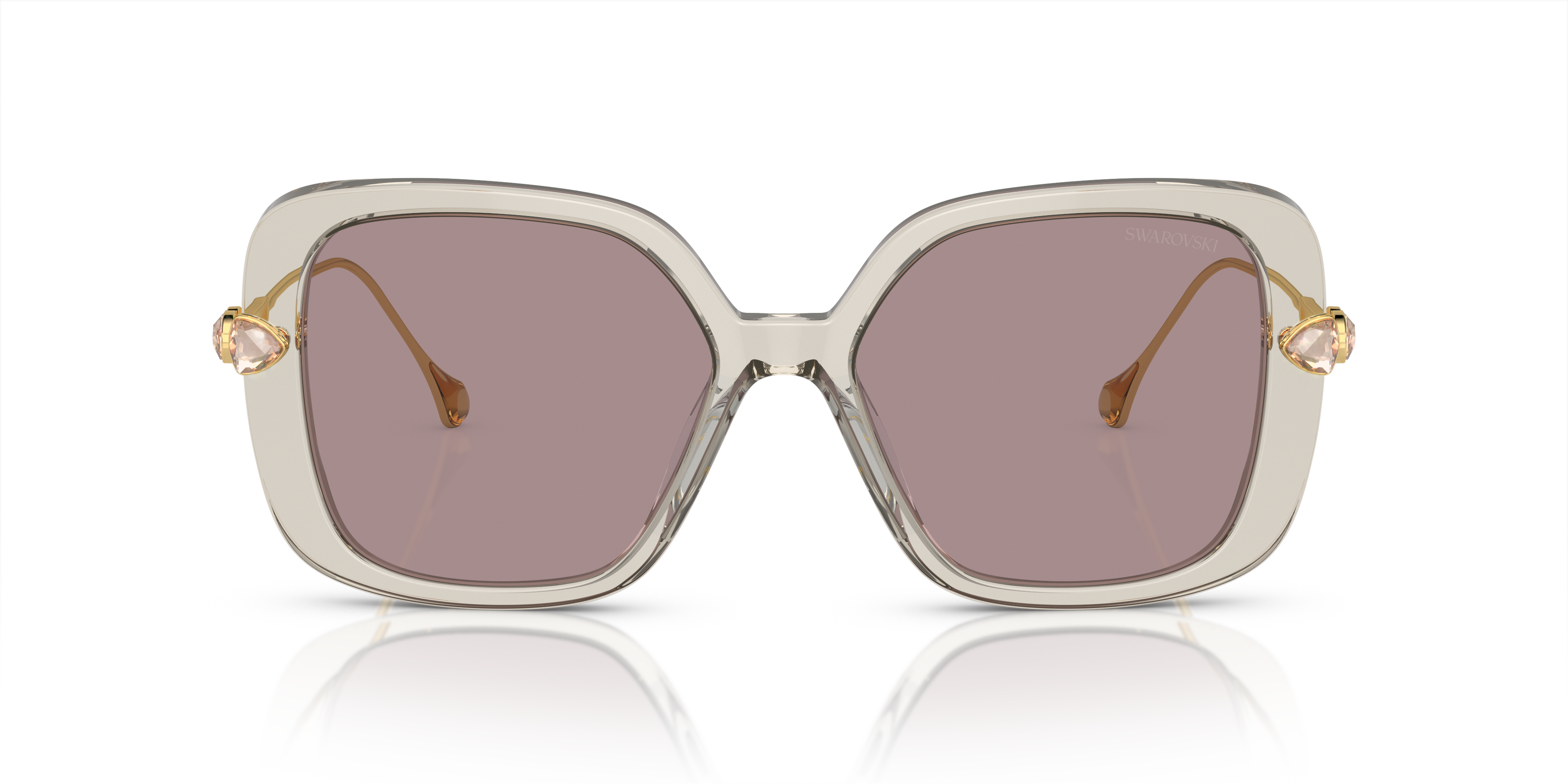 Gafas de Sol Swarovski SK6011 3003LA 55 17