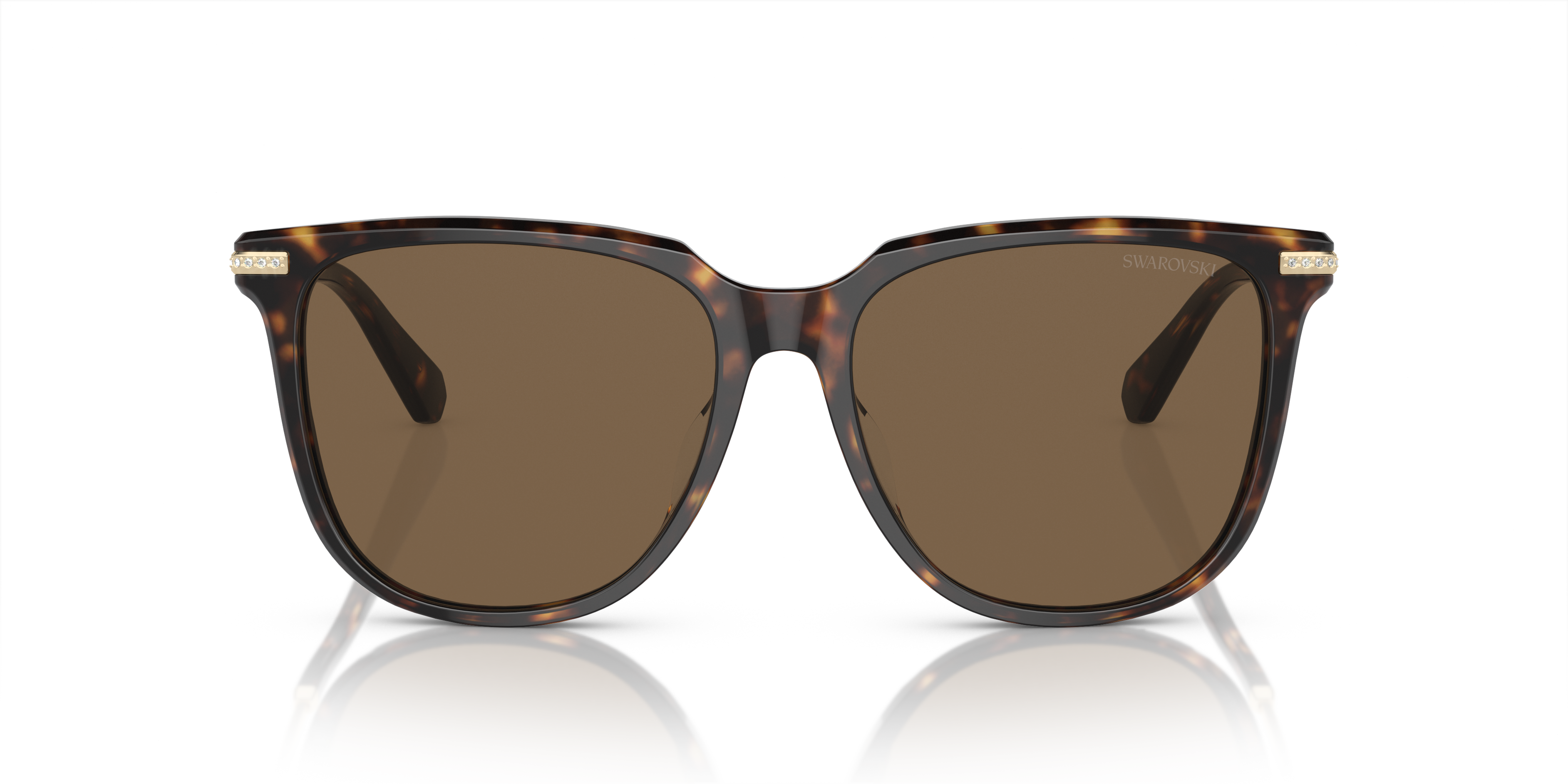 Gafas de Sol Swarovski SK6015D 100273 55 16