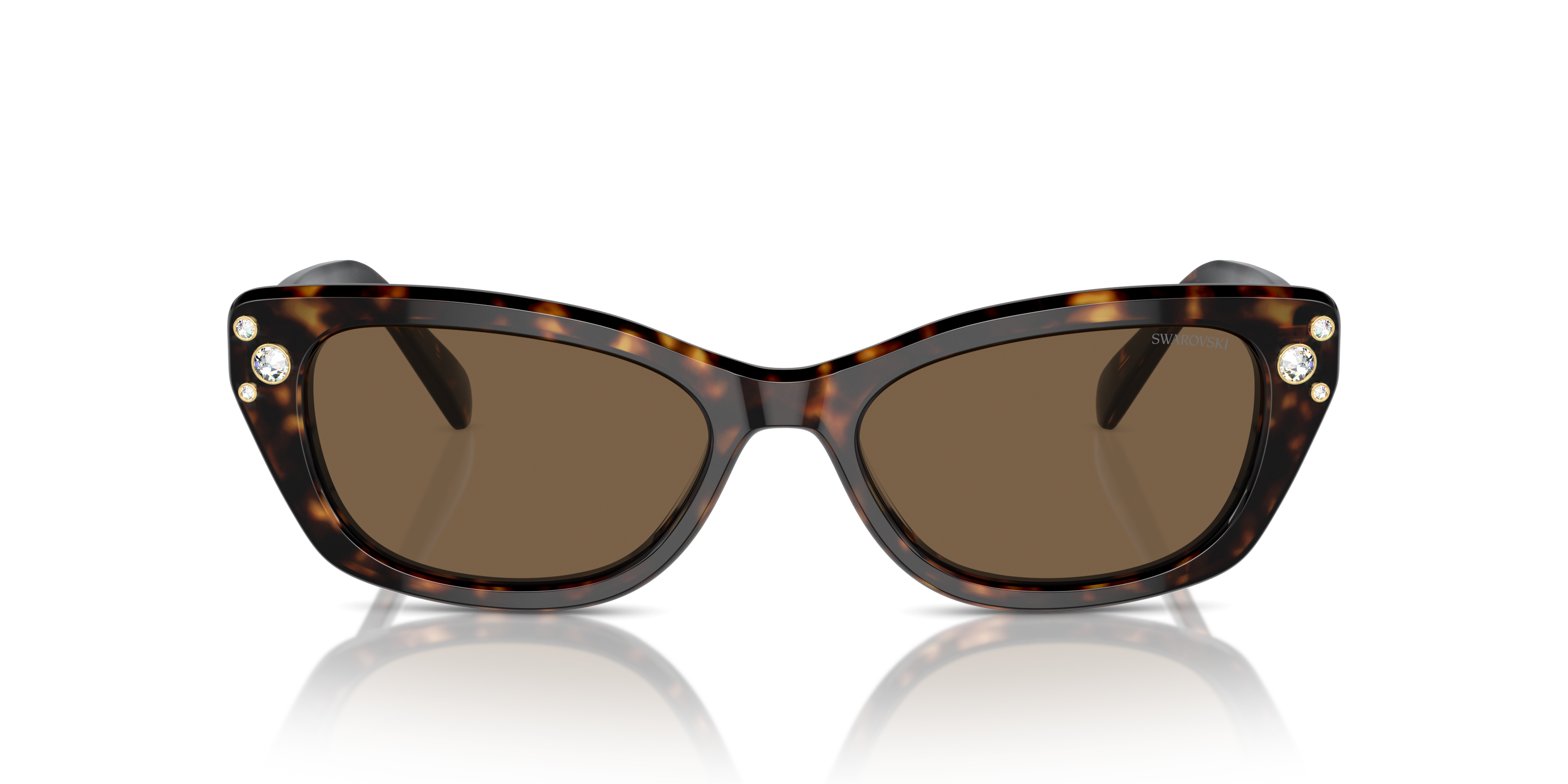Gafas de Sol Swarovski SK6019 100273 54 18