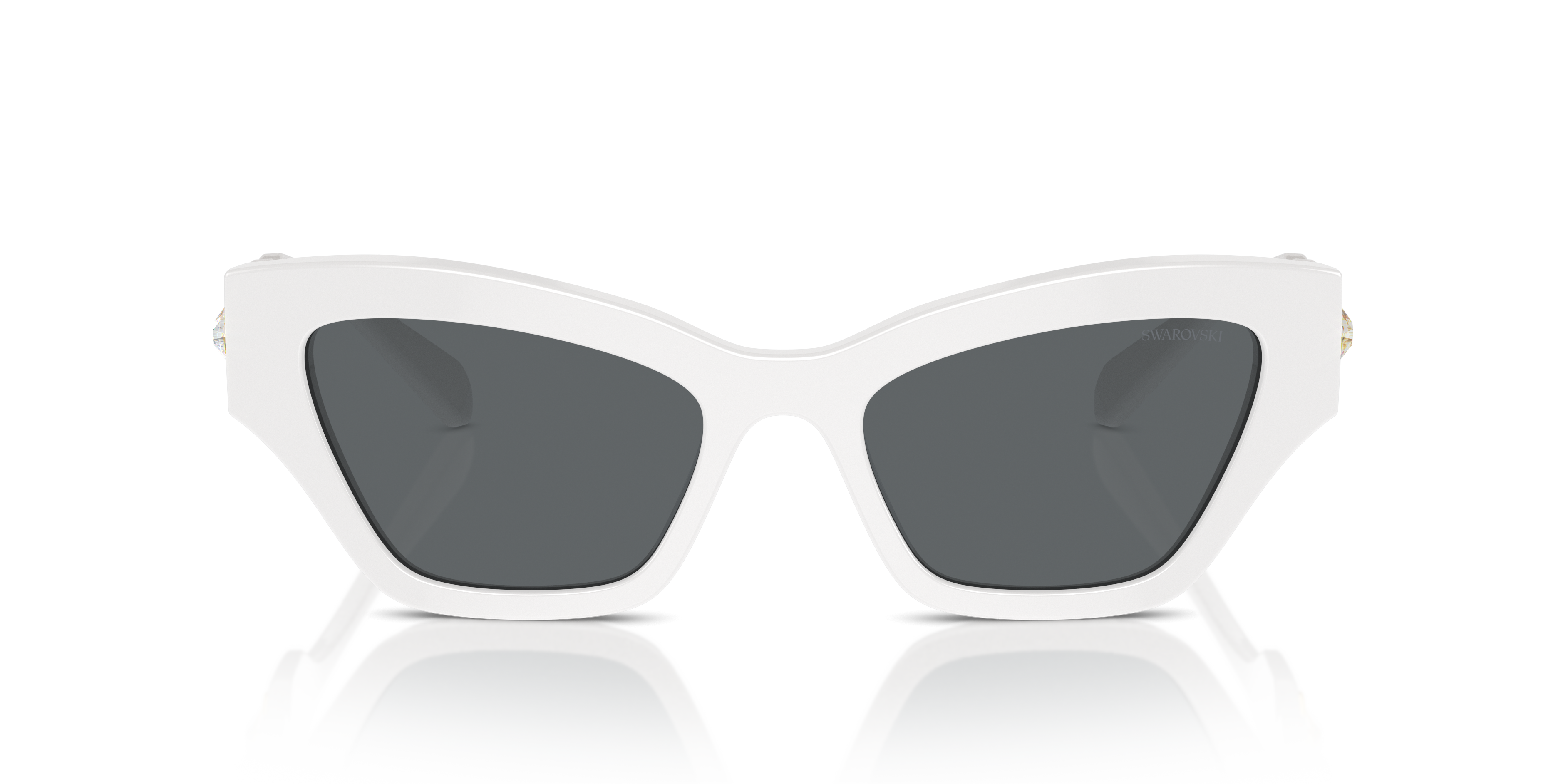 Gafas de Sol Swarovski SK6021 105087 53 19