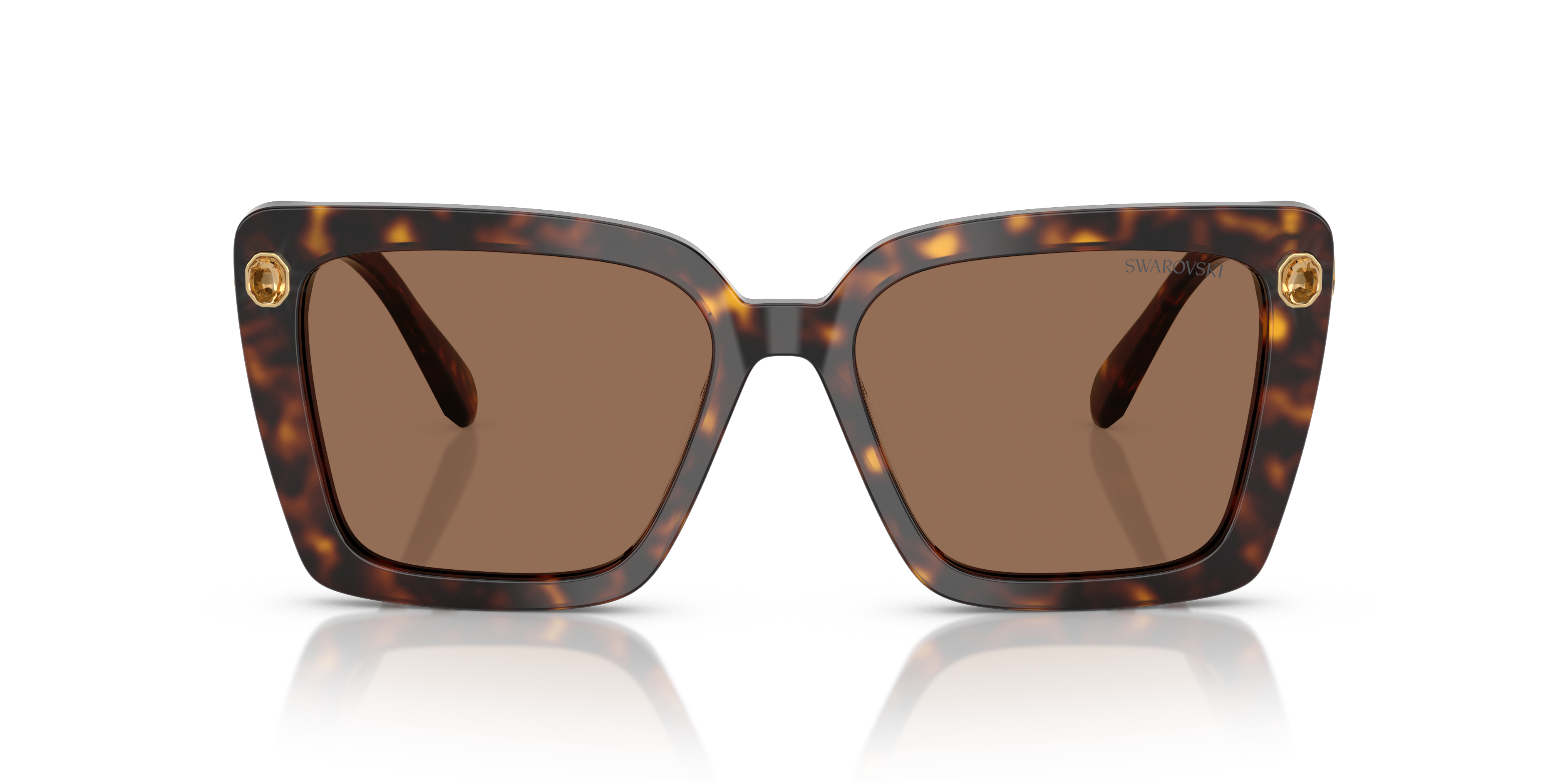 Gafas de Sol Swarovski SK6032 100273 55 17