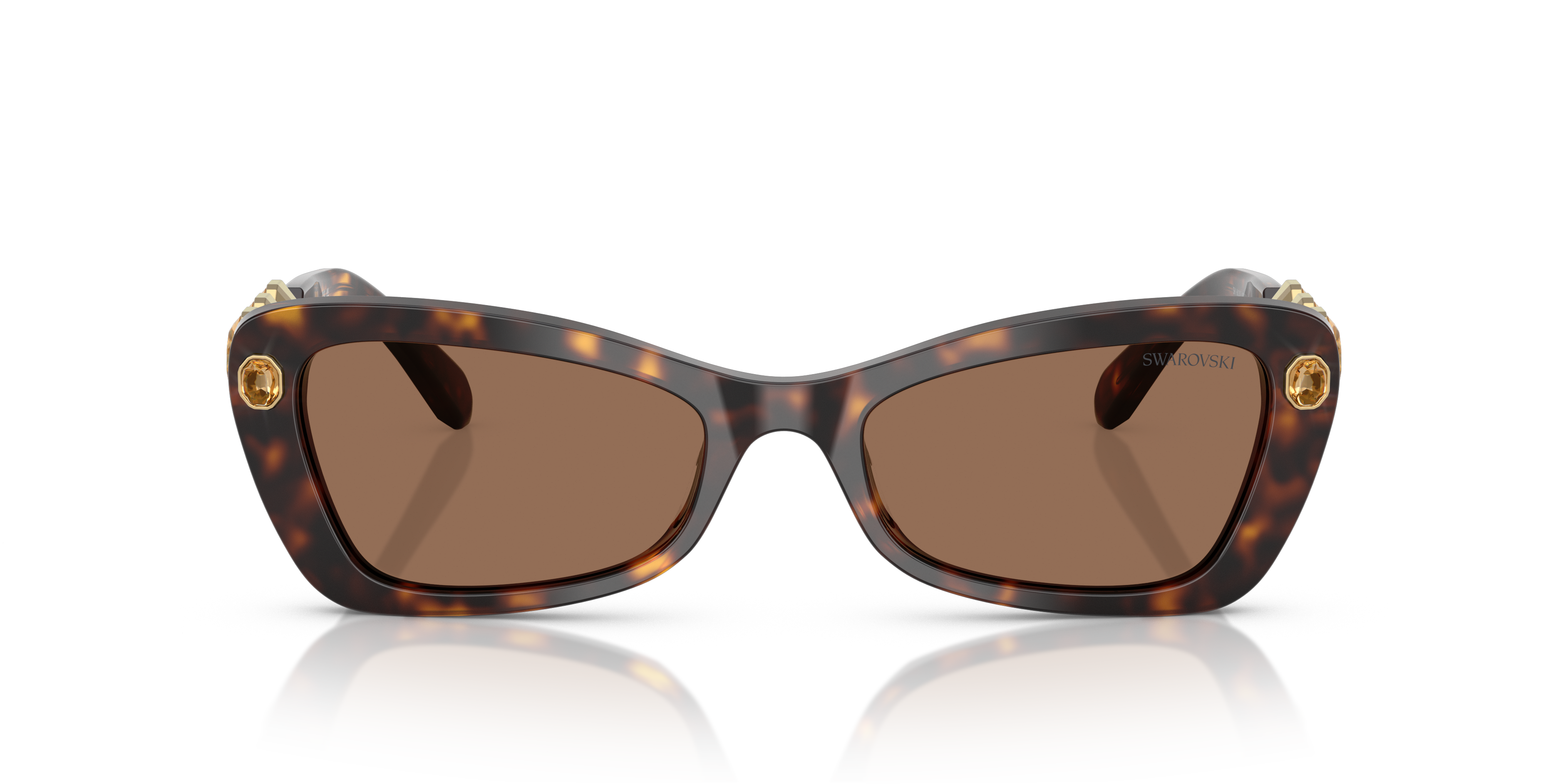 Gafas de Sol Swarovski SK6033 100273 54 19