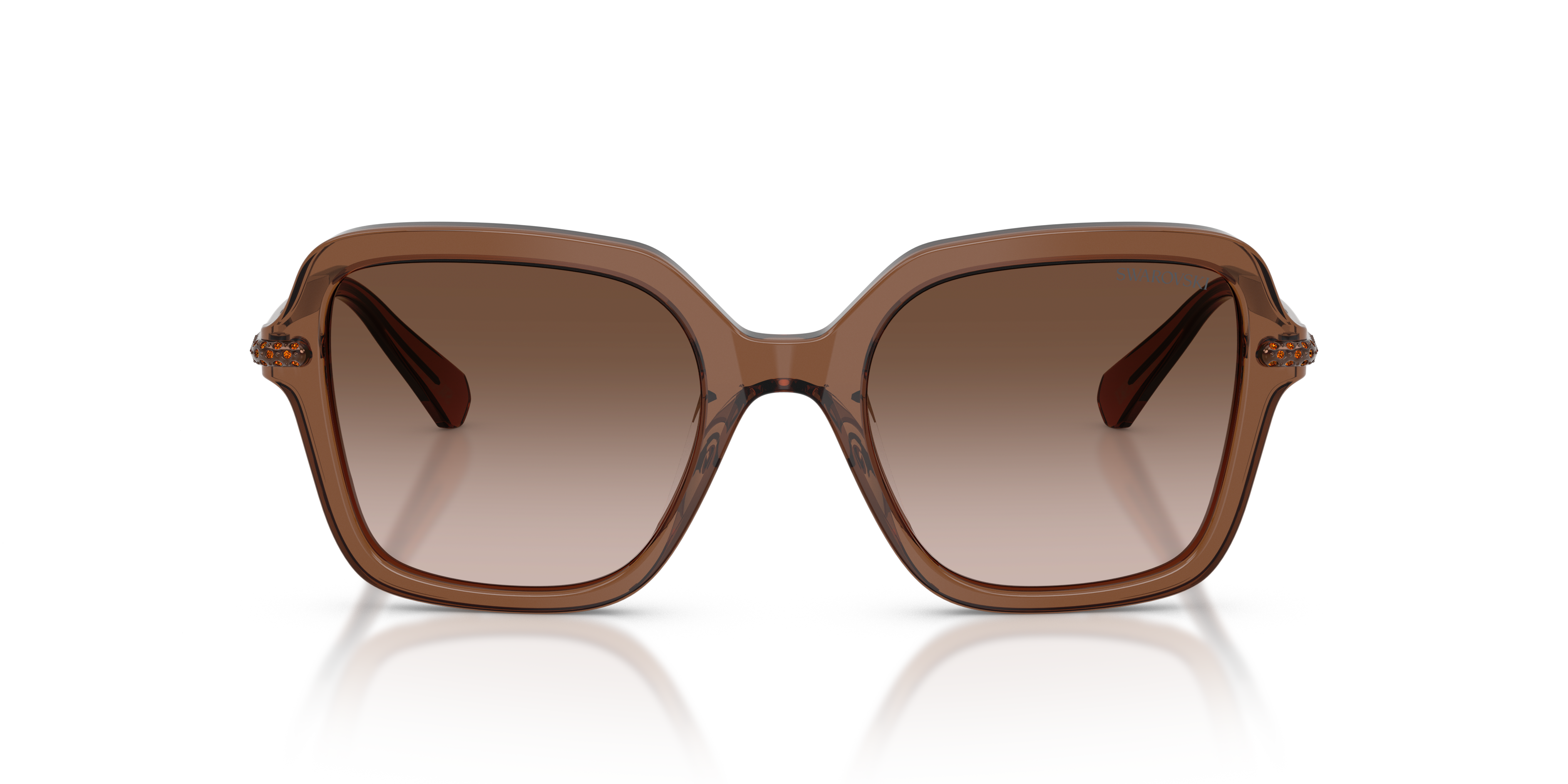Gafas de Sol Swarovski SK6040 106713 50 20
