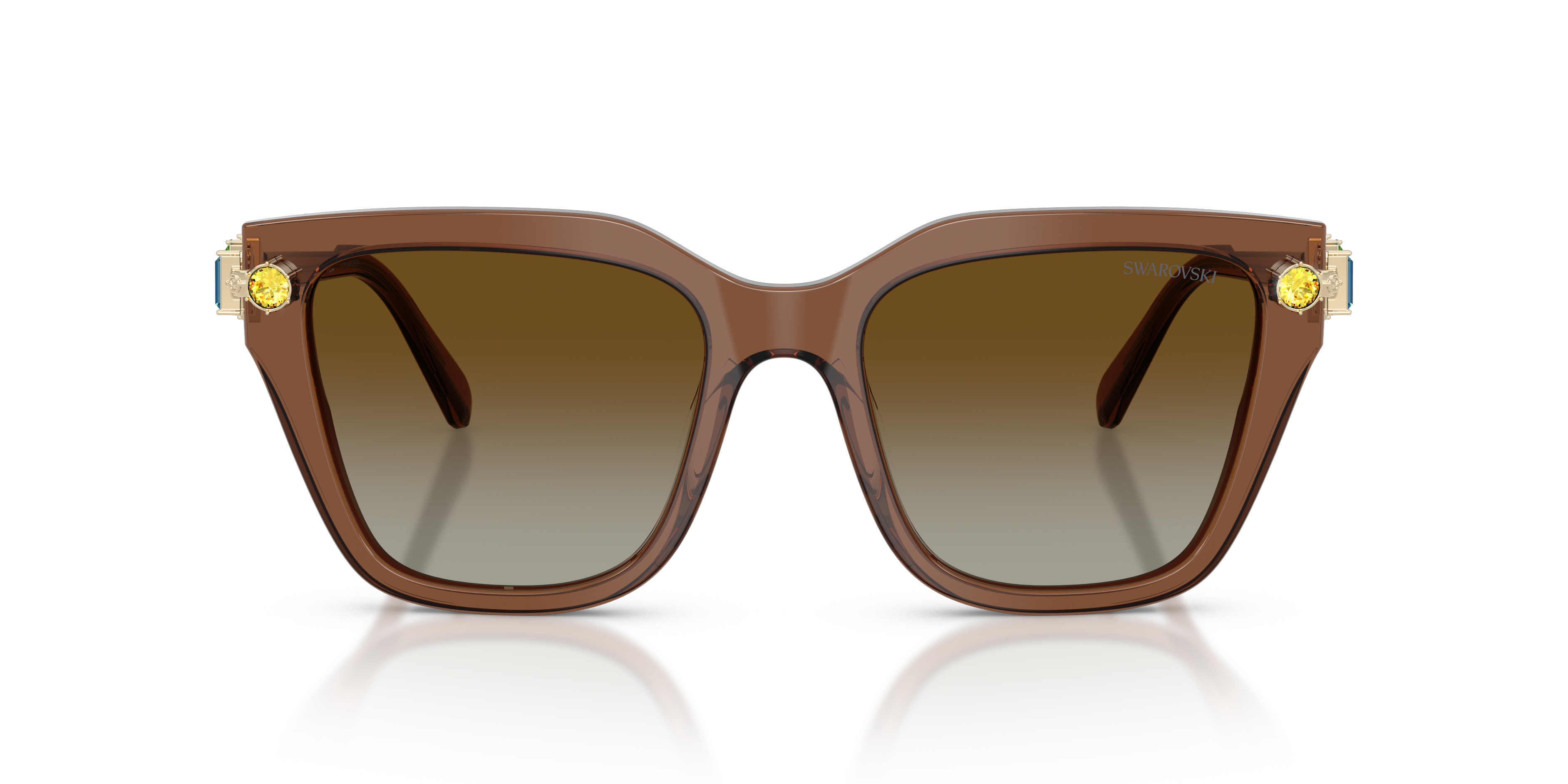 Gafas de Sol Swarovski SK6041 1067T5 53 19