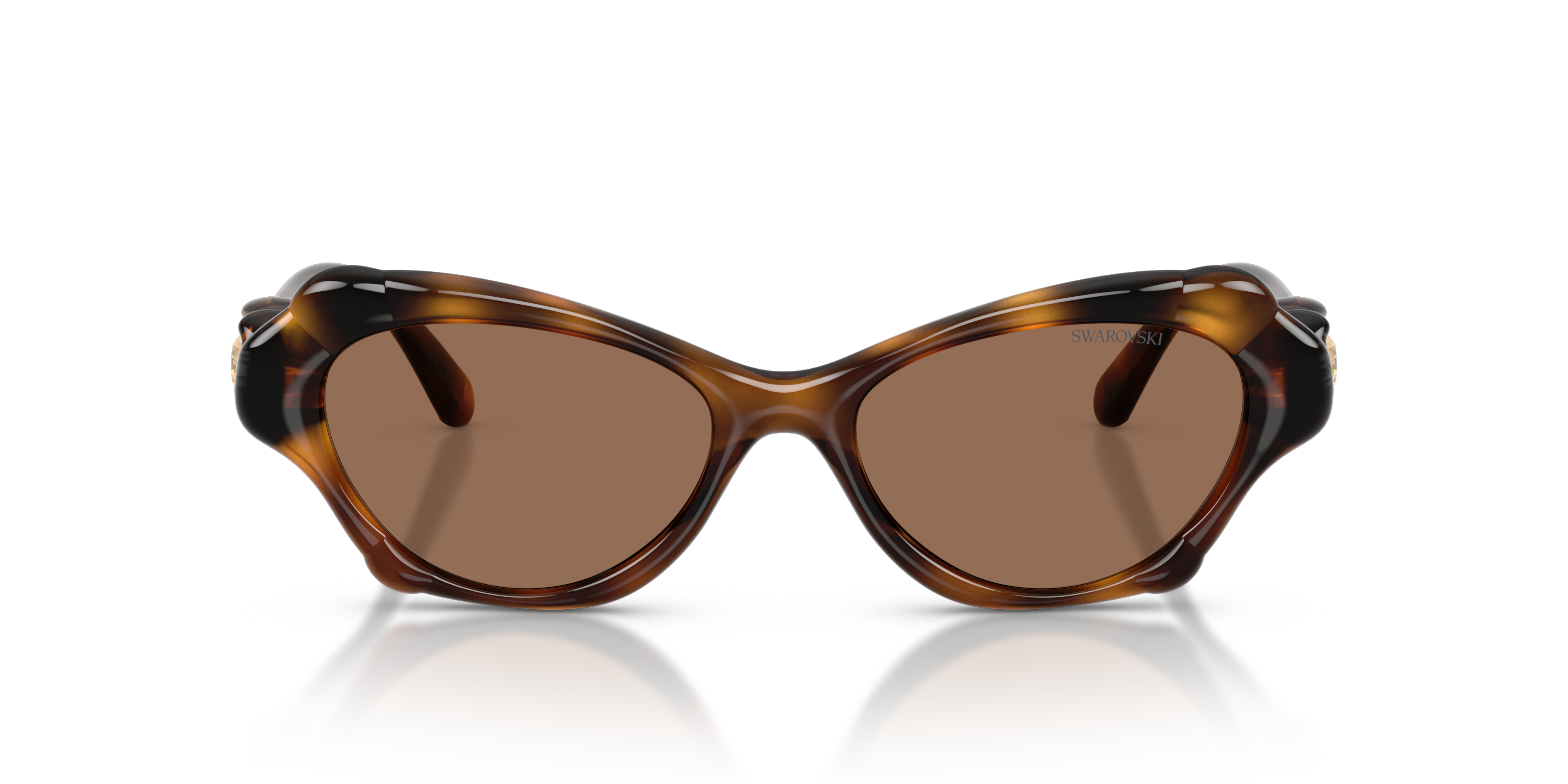 Gafas de Sol Swarovski SK6050 100273 52 17
