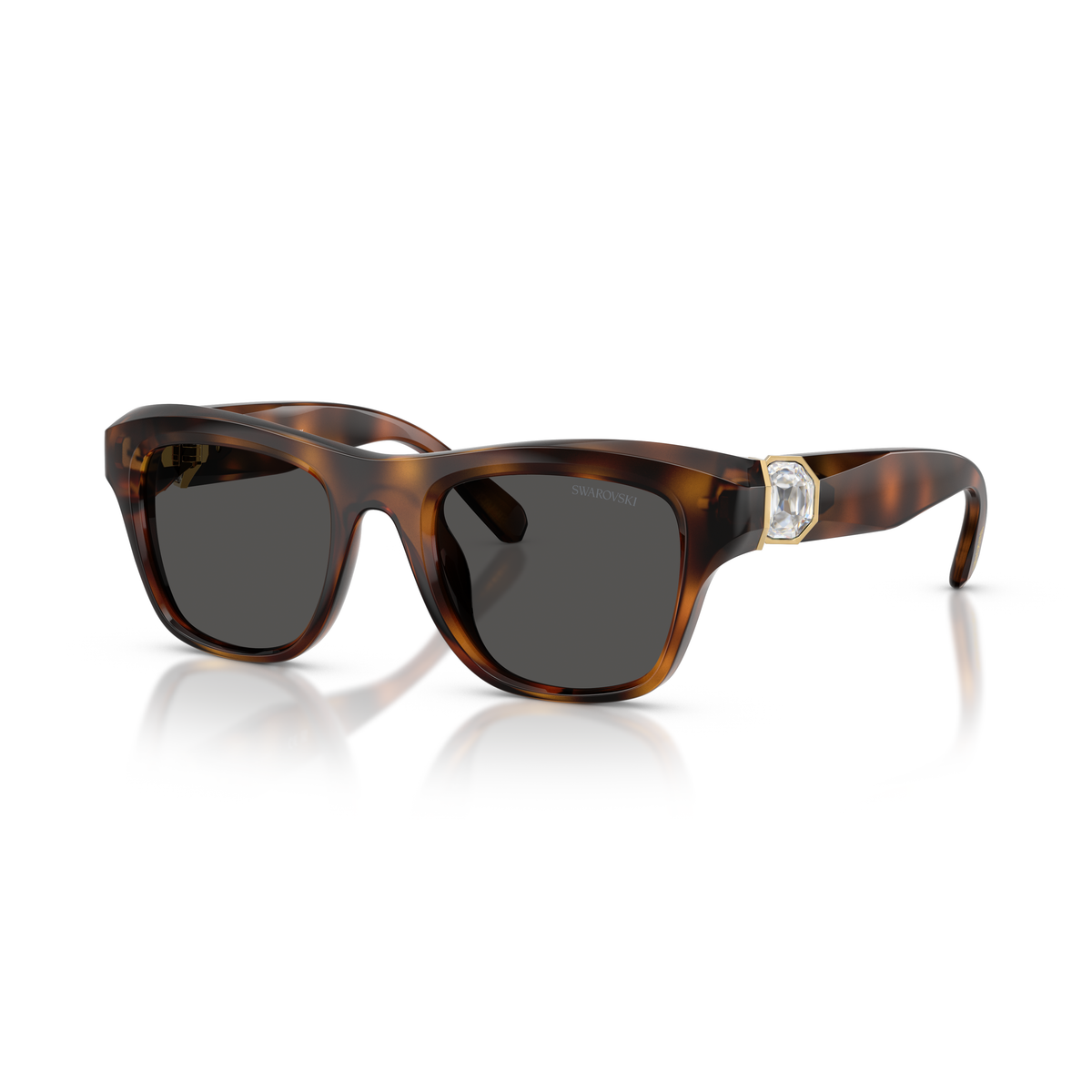 Gafas de Sol Swarovski SK6056U 100287 50 21