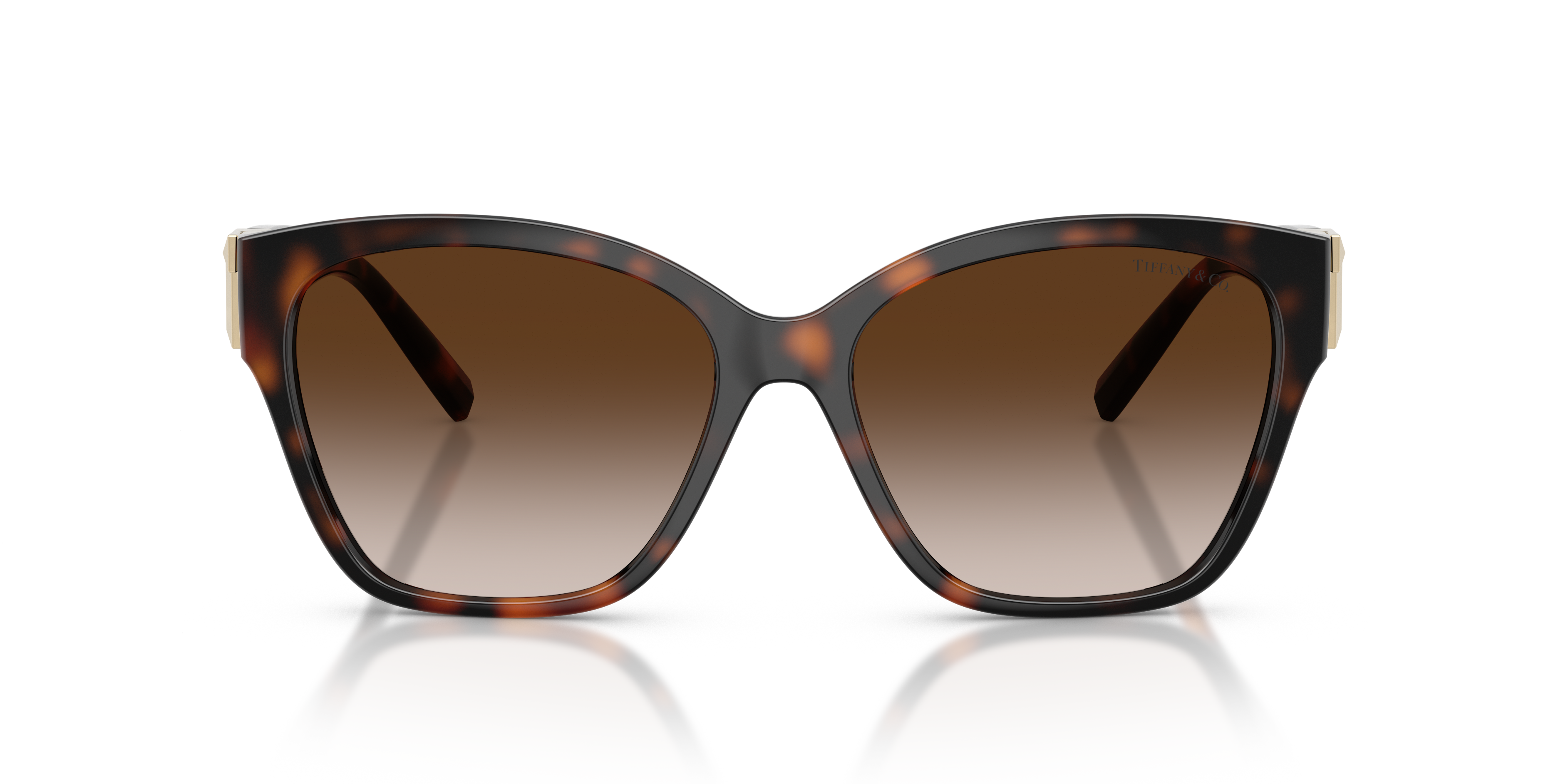 Gafas de Sol Tiffany&Co TF4254U 80153B