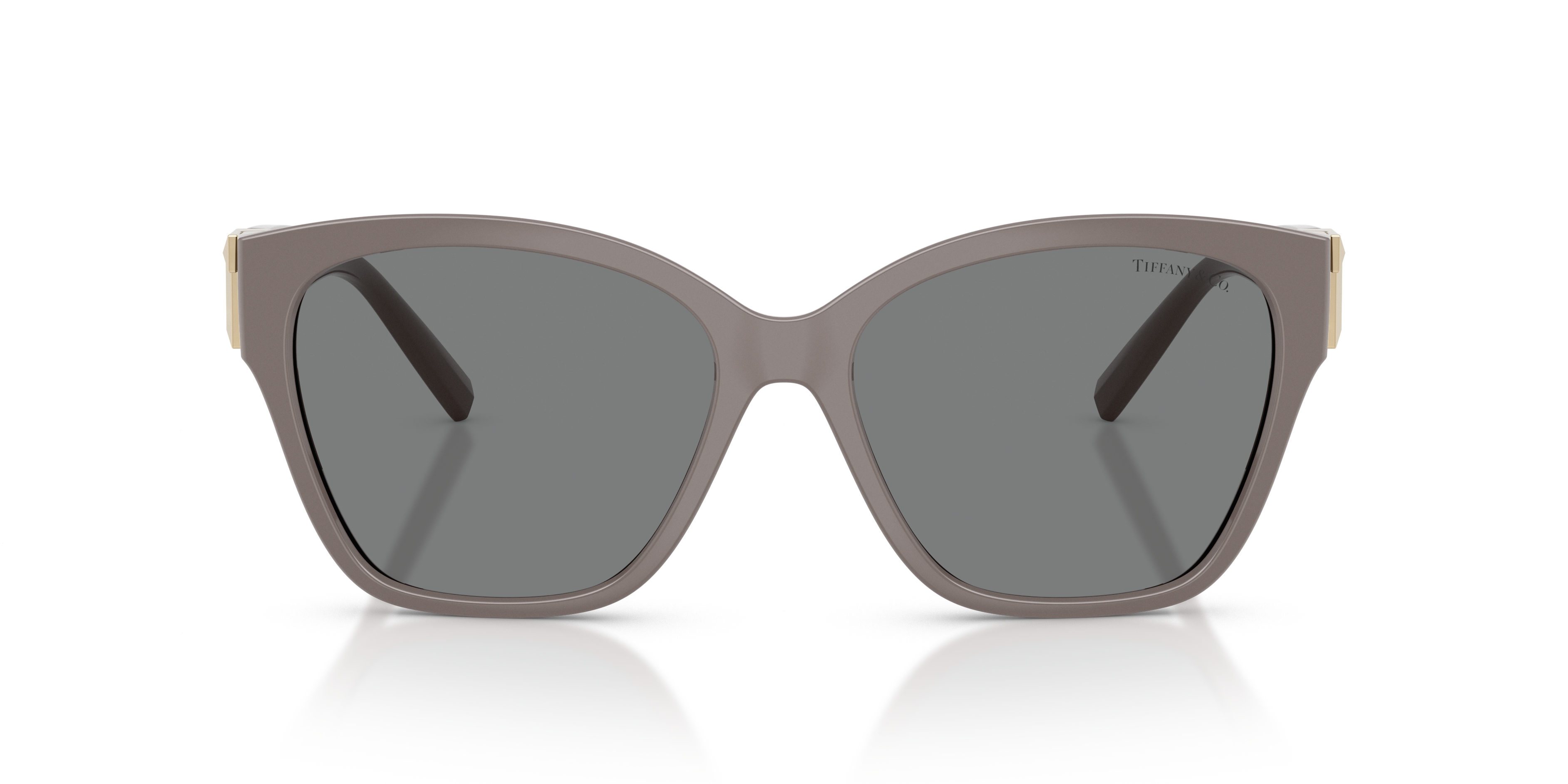 Gafas de Sol Tiffany&Co TF4254U 840187