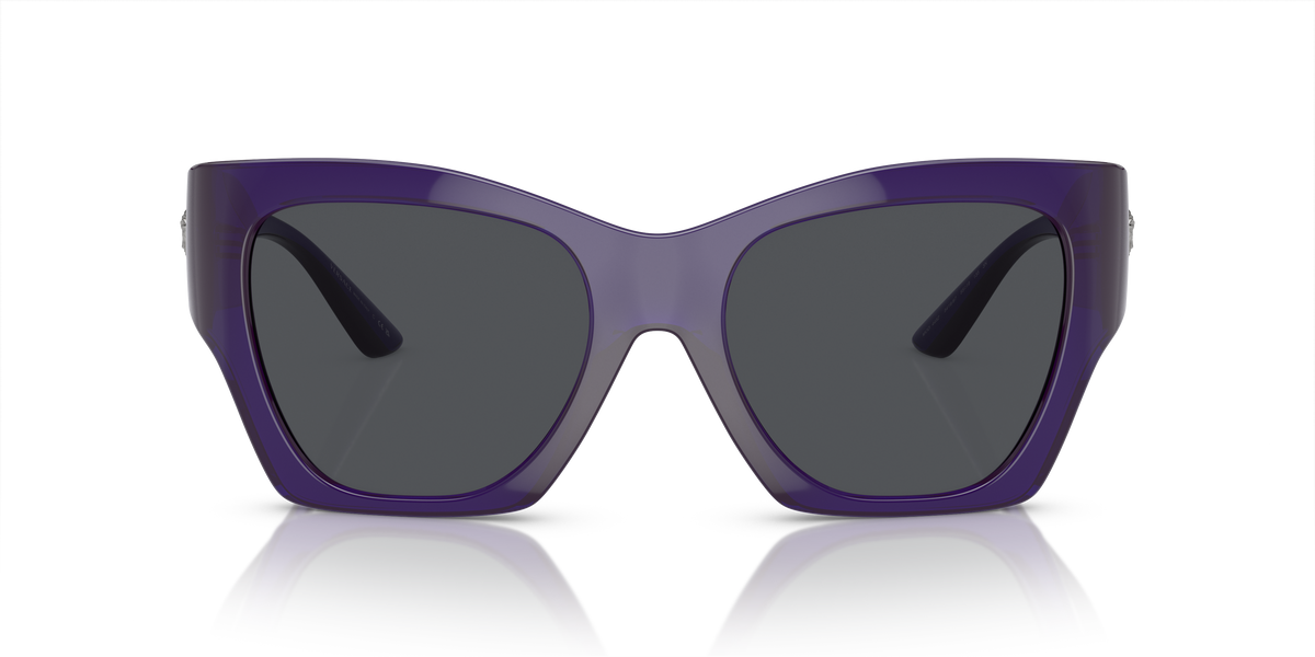 Sunglasses Versace VE4452 541987 55 19