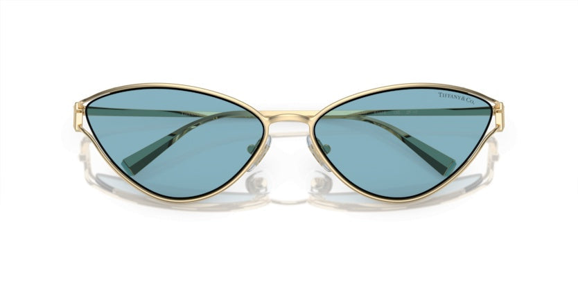 Gafas de Sol Tiffany&Co TF3095 6196MF 61 16