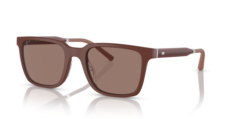 Gafas de Sol Oliver Peoples Mr.Federer OV5553SU 700253 52 20