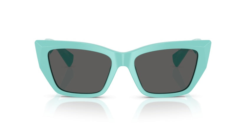 Gafas de Sol Tiffany&Co TF4230 8388S4 54 17