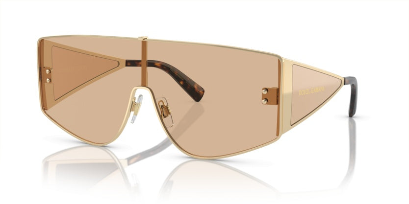 Gafas de Sol Dolce Gabbana DG2305 13655A 44 144