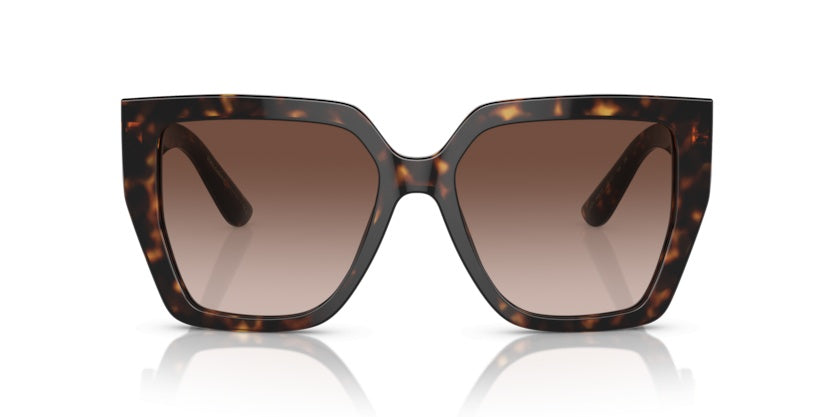 Gafas de Sol Dolce Gabbana DG4438 502/13 55 17