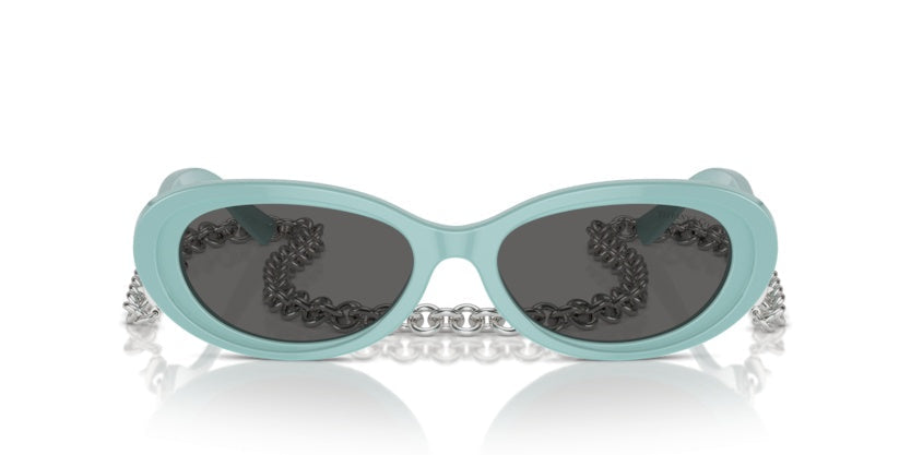 Gafas de Sol Tiffany&Co TF4221 8388S4 54 17