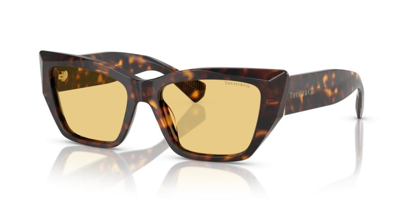 Gafas de Sol Tiffany&Co TF4230 8015/7 54 17