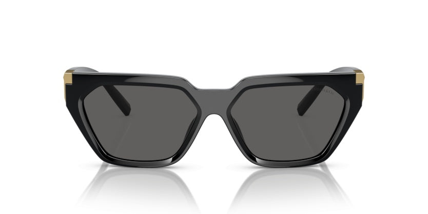 Gafas de Sol Tiffany&Co TF4205U 8001S4 56 14