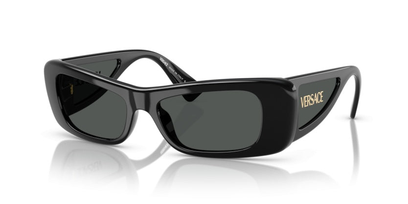 Gafas de Sol Versace VE4481 GB1/87 54 17