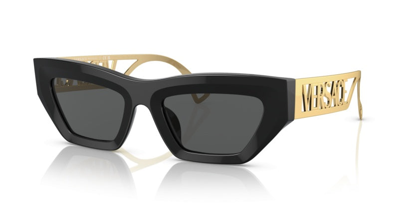 Gafas de Sol Versace VE4432U GB1/87 53 20