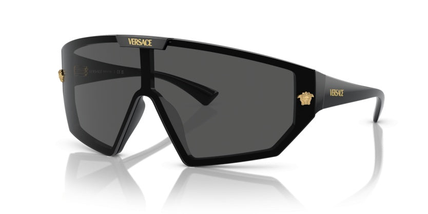 Gafas de Sol Versace VE4461 GB1/87 147 00