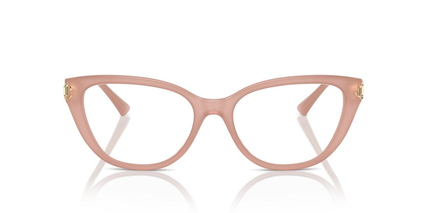 Gafas Graduadas Jimmy Choo JC3011 5027 54 17