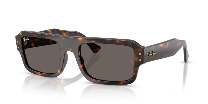 Gafas de Sol Ray-Ban RB4454 1359B1 53 20