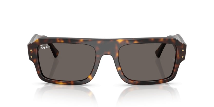 Gafas de Sol Ray-Ban RB4454 1359B1 53 20